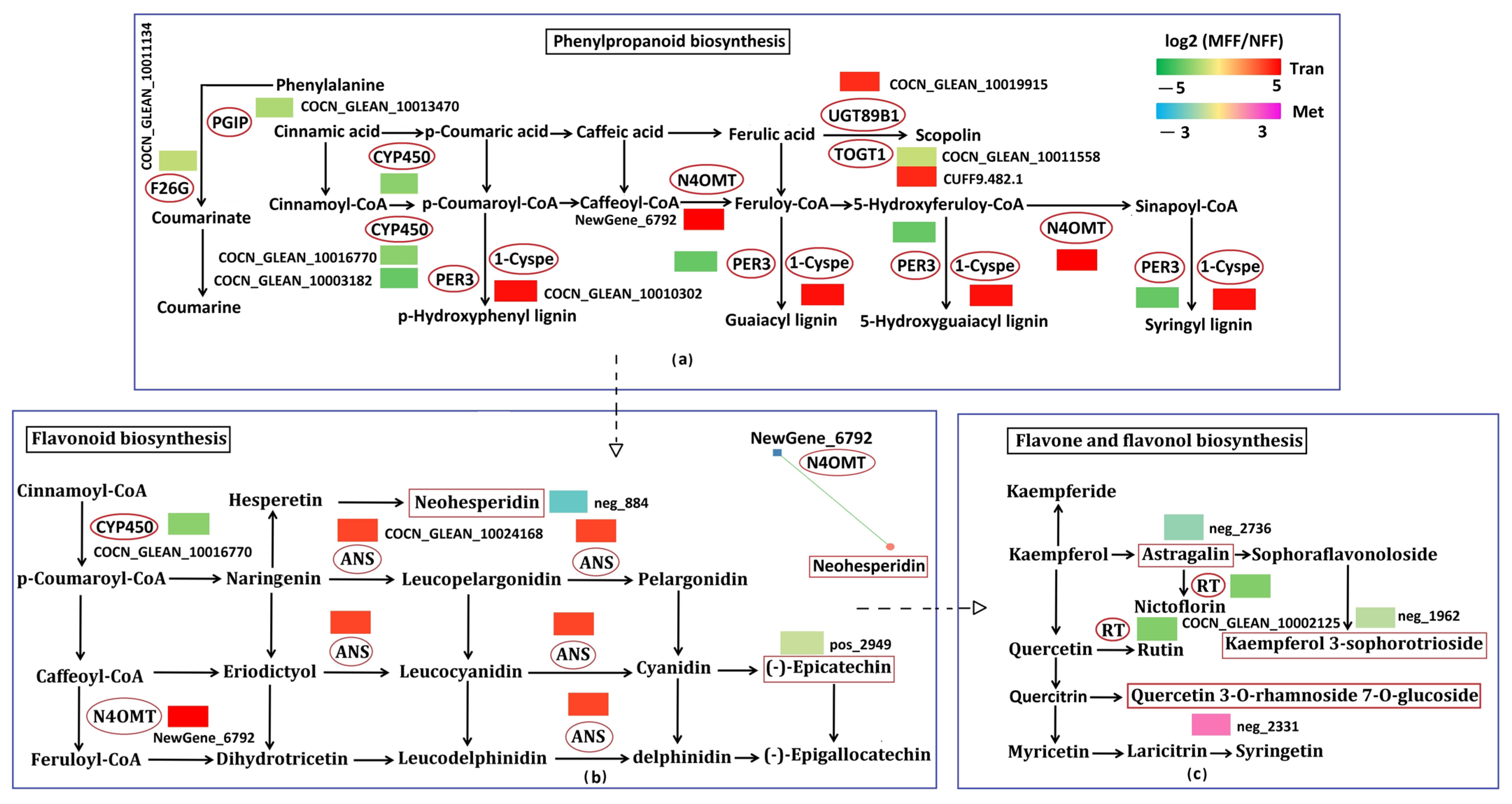 Agriculture 15 02336 g013