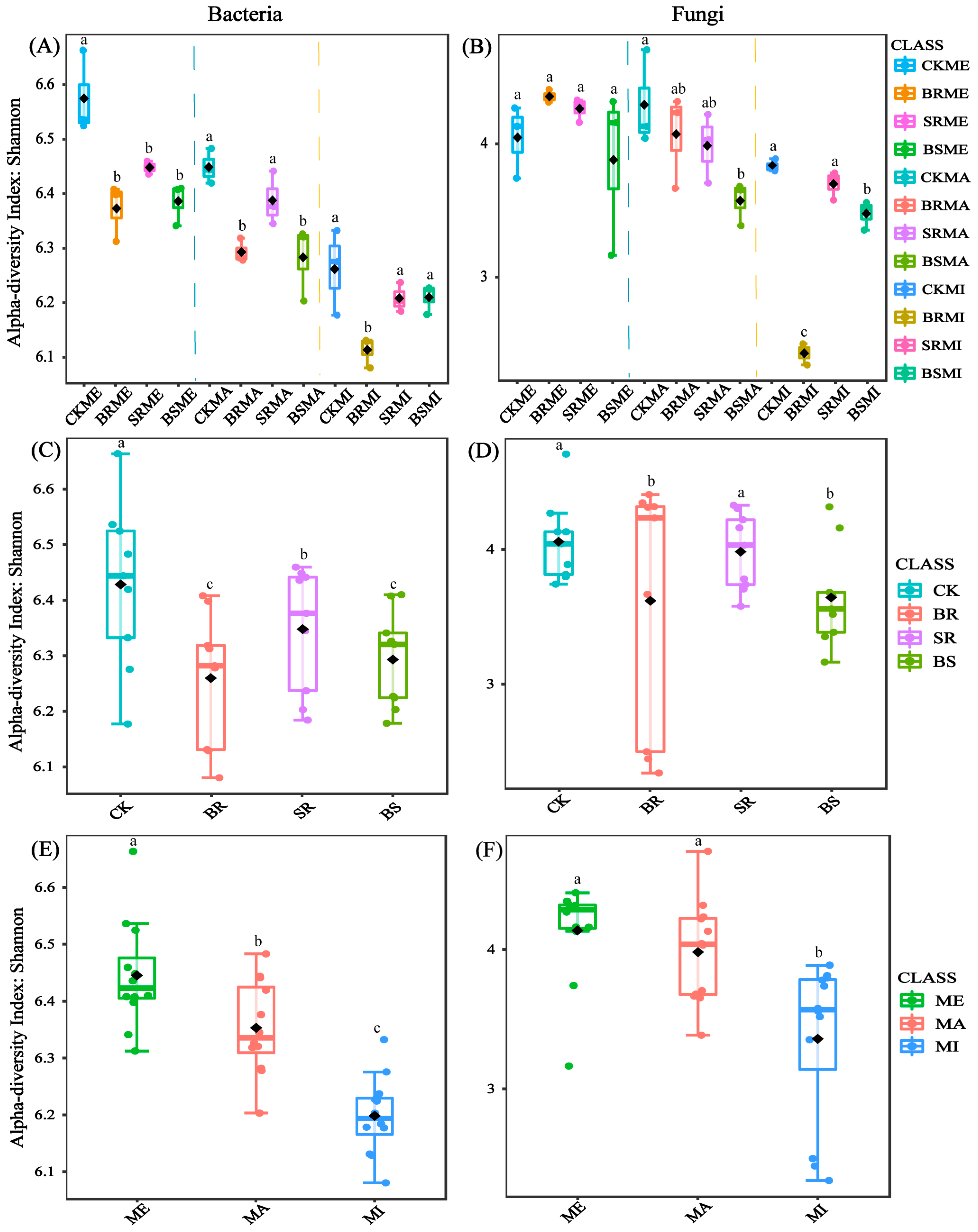 Agriculture 15 02342 g001