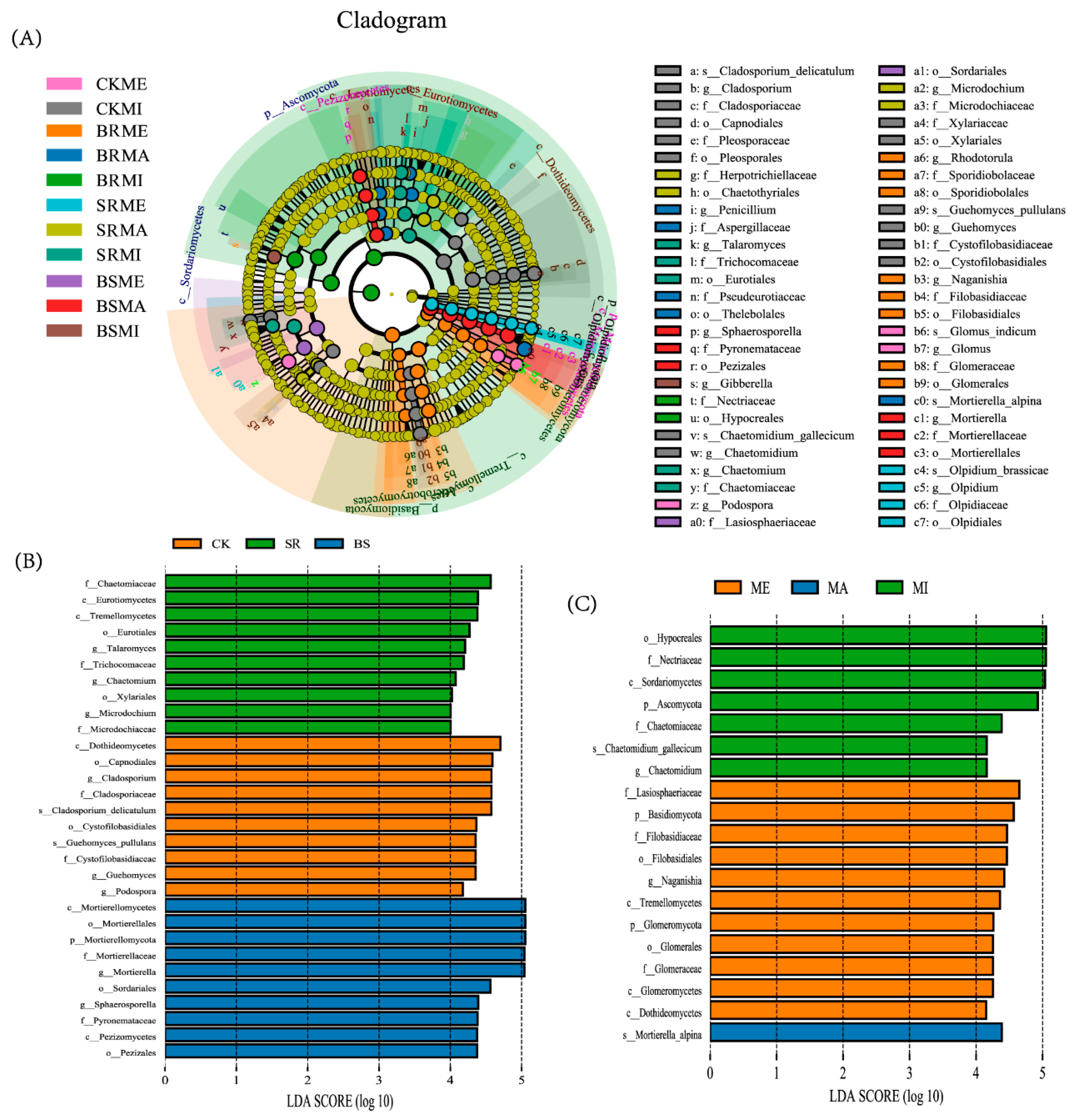 Agriculture 15 02342 g0a2