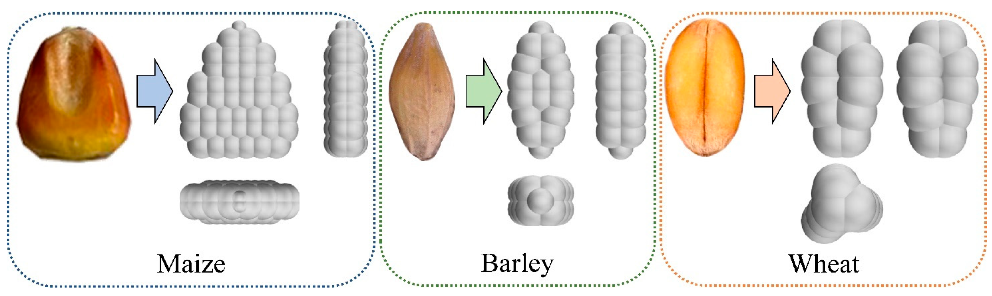 Agriculture 15 02344 g003