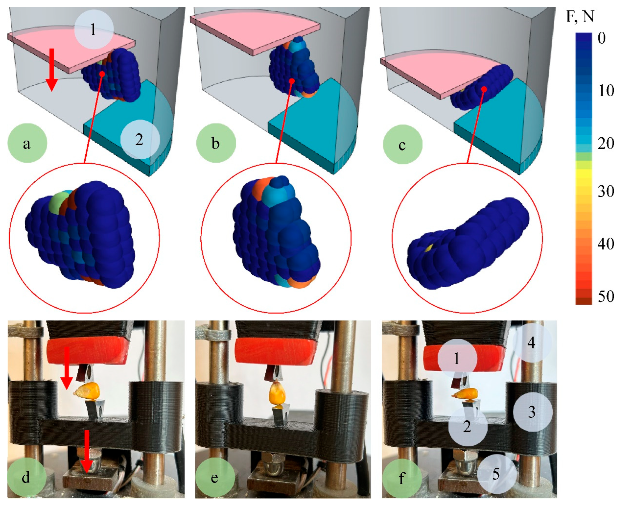 Agriculture 15 02344 g006