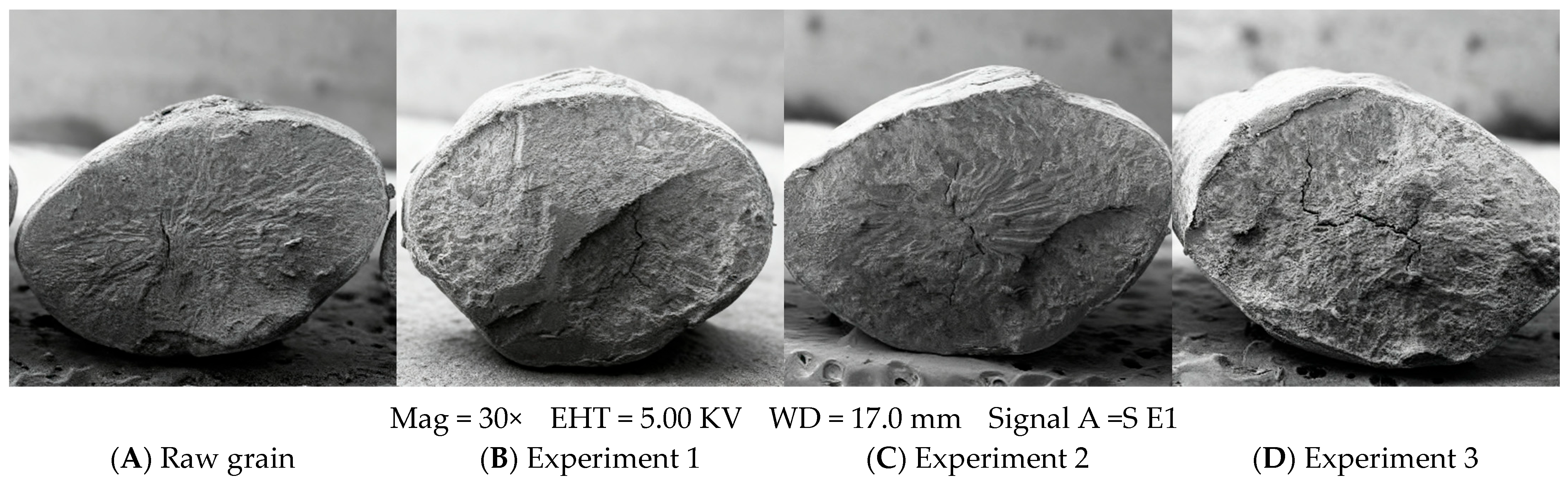 Agriculture 15 02355 g010