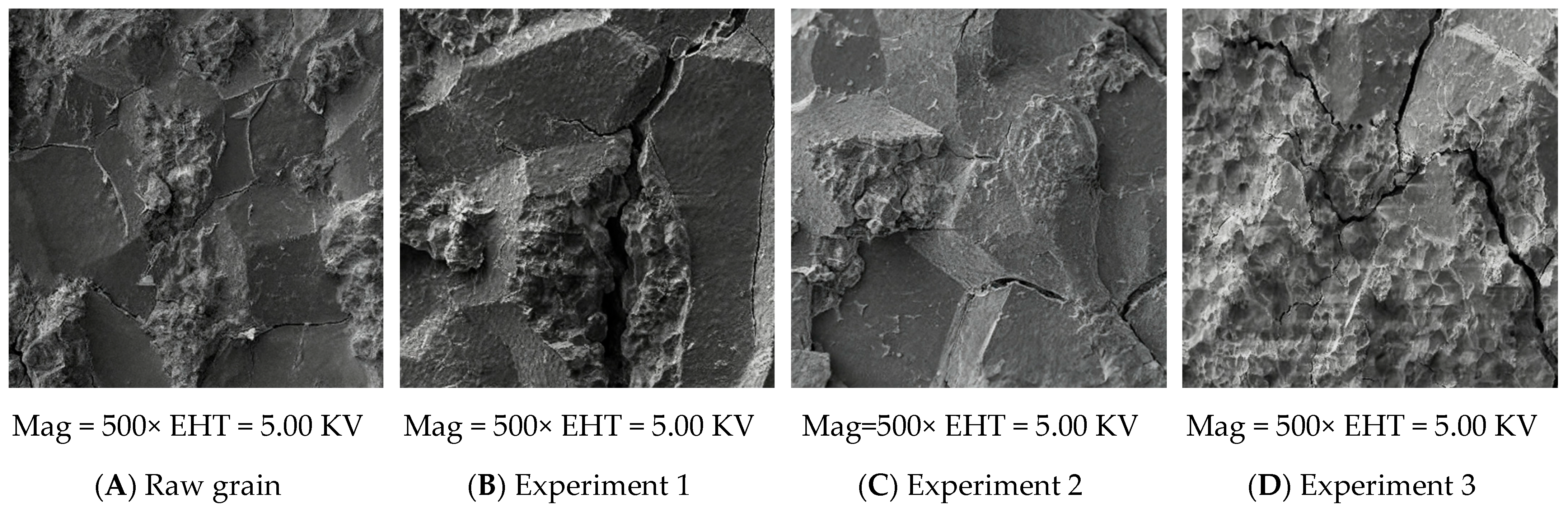 Agriculture 15 02355 g011