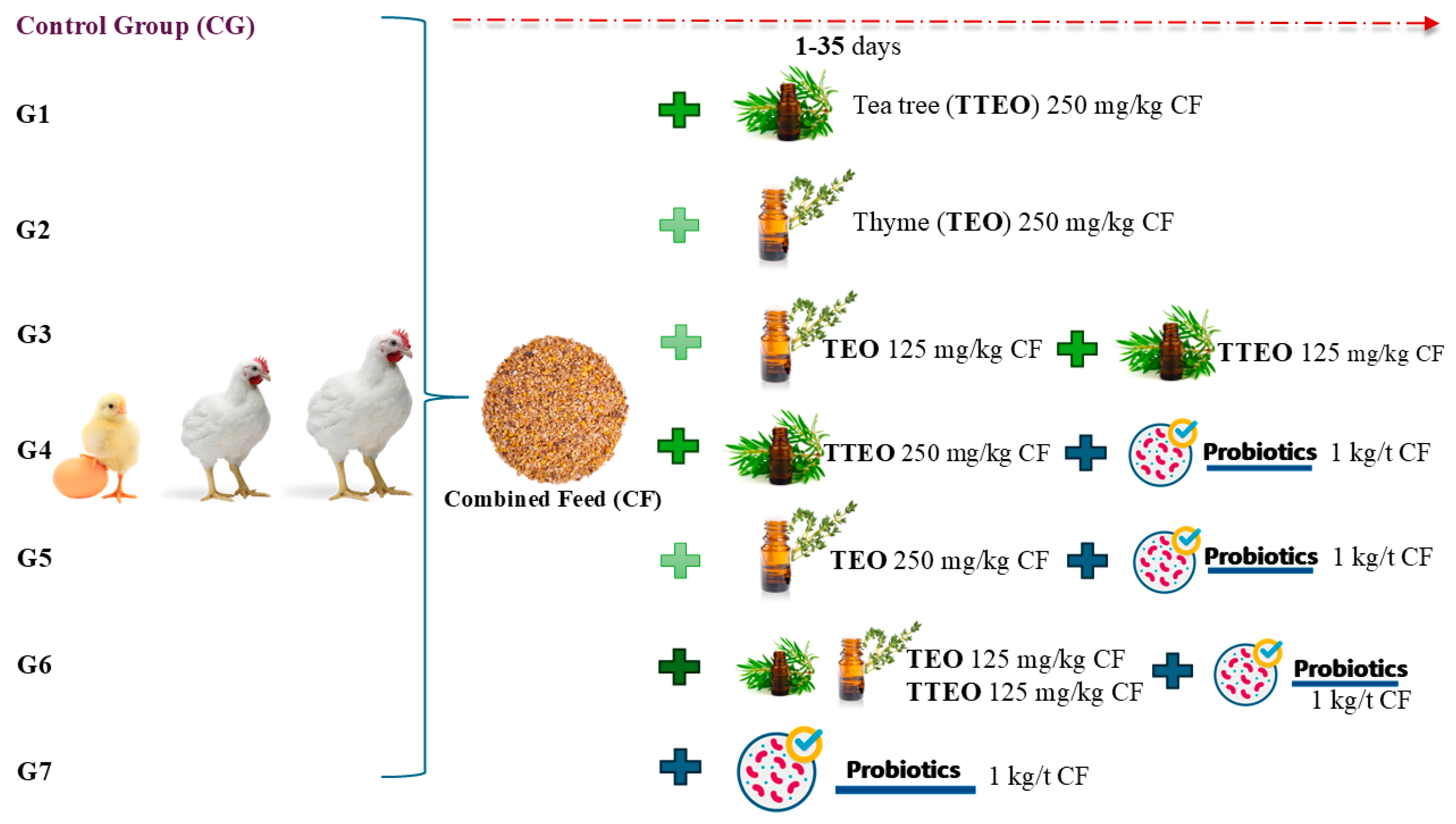 Agriculture 15 02356 g001