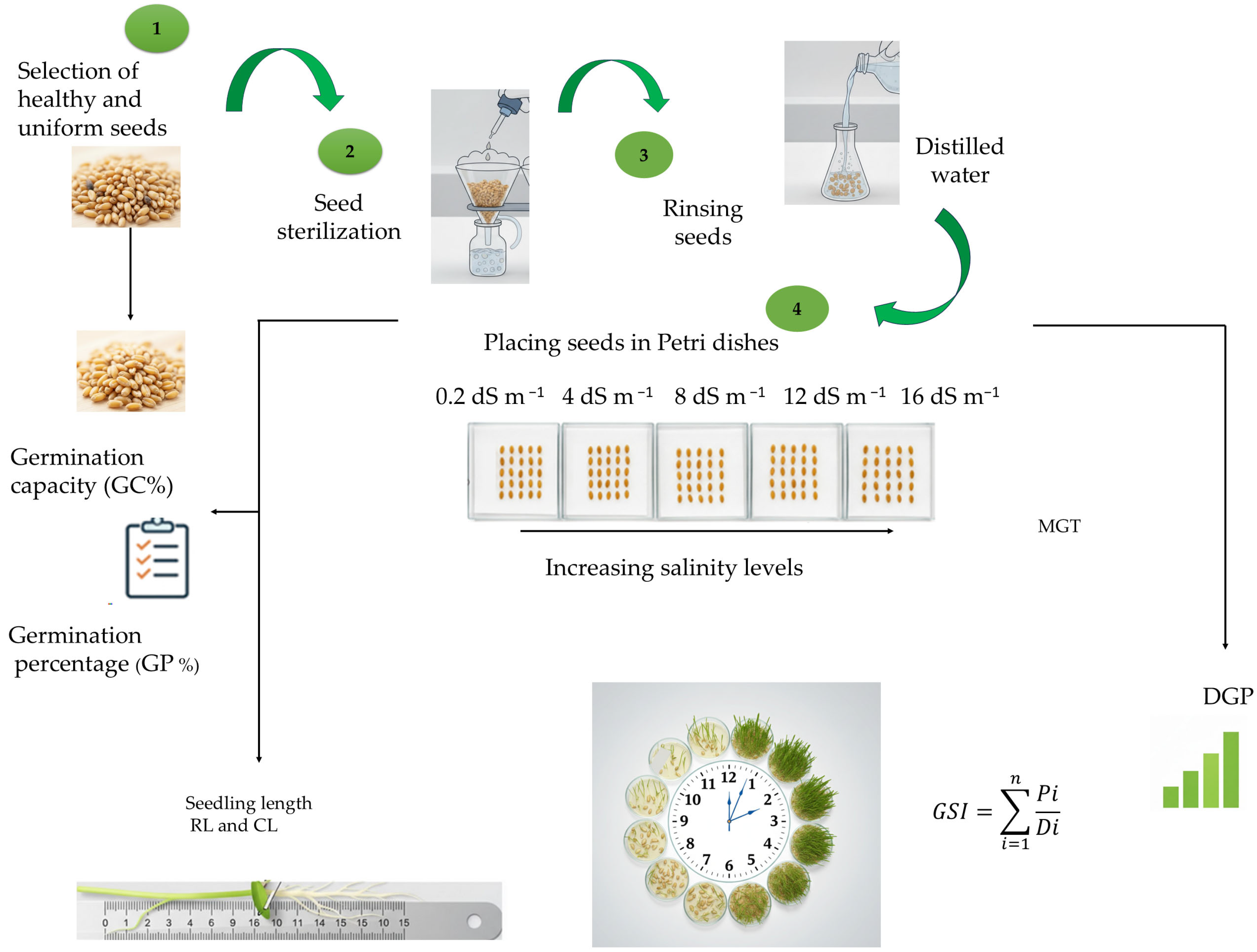 Agriculture 15 02364 g002