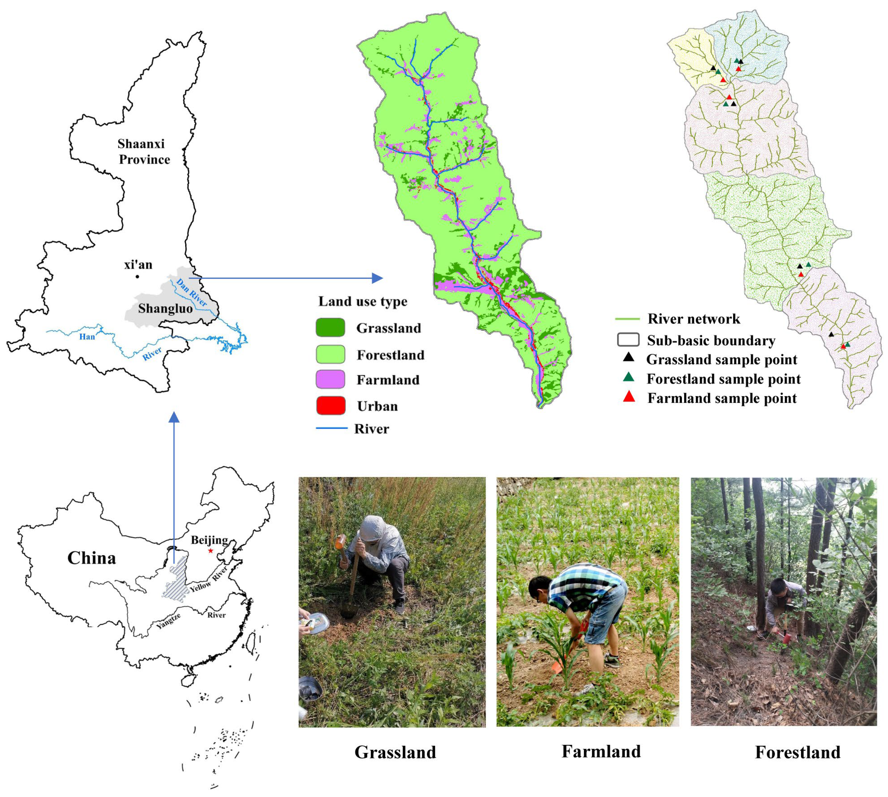 Agriculture 15 02369 g001