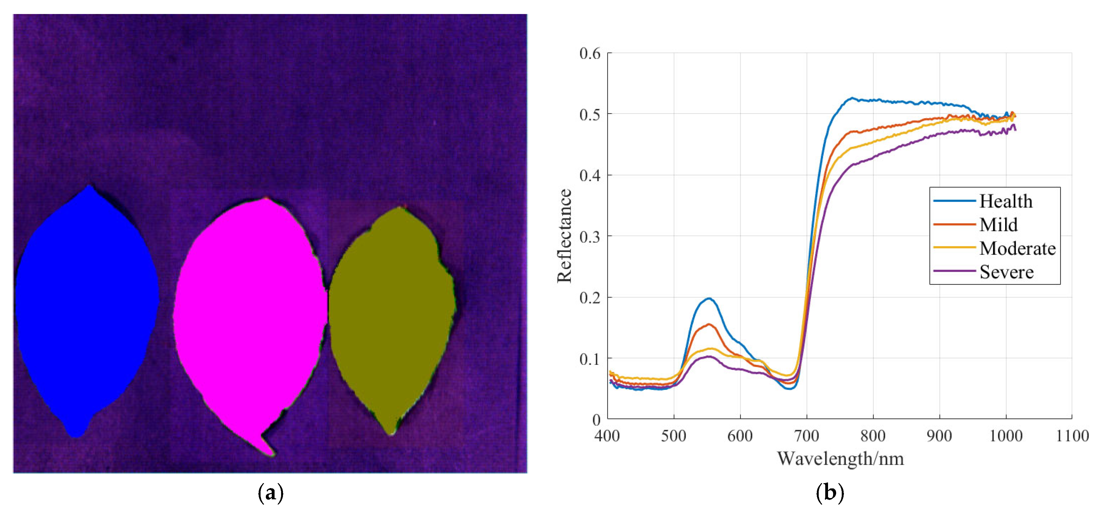 Agriculture 15 02372 g011