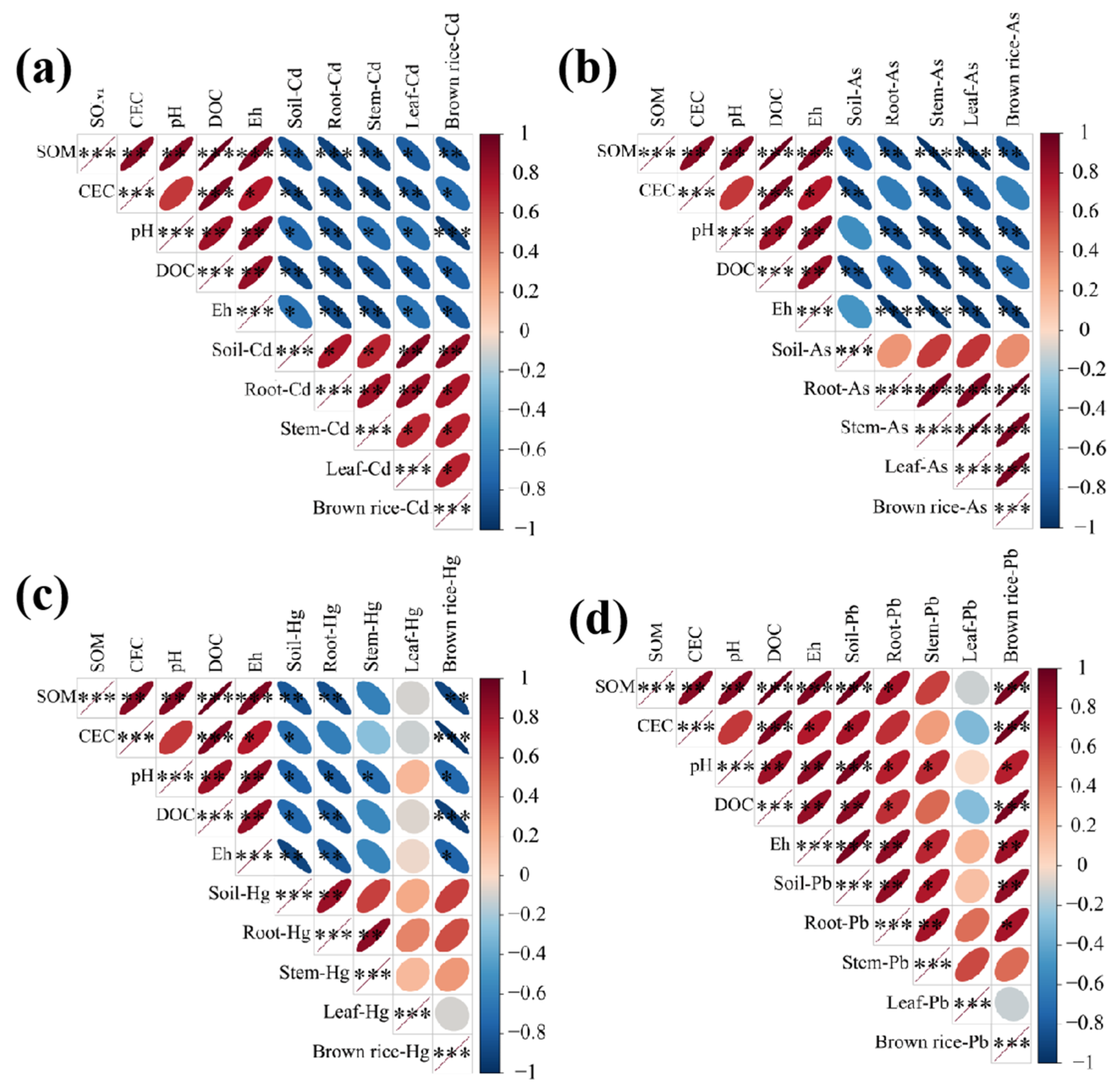 Agriculture 15 02374 g008