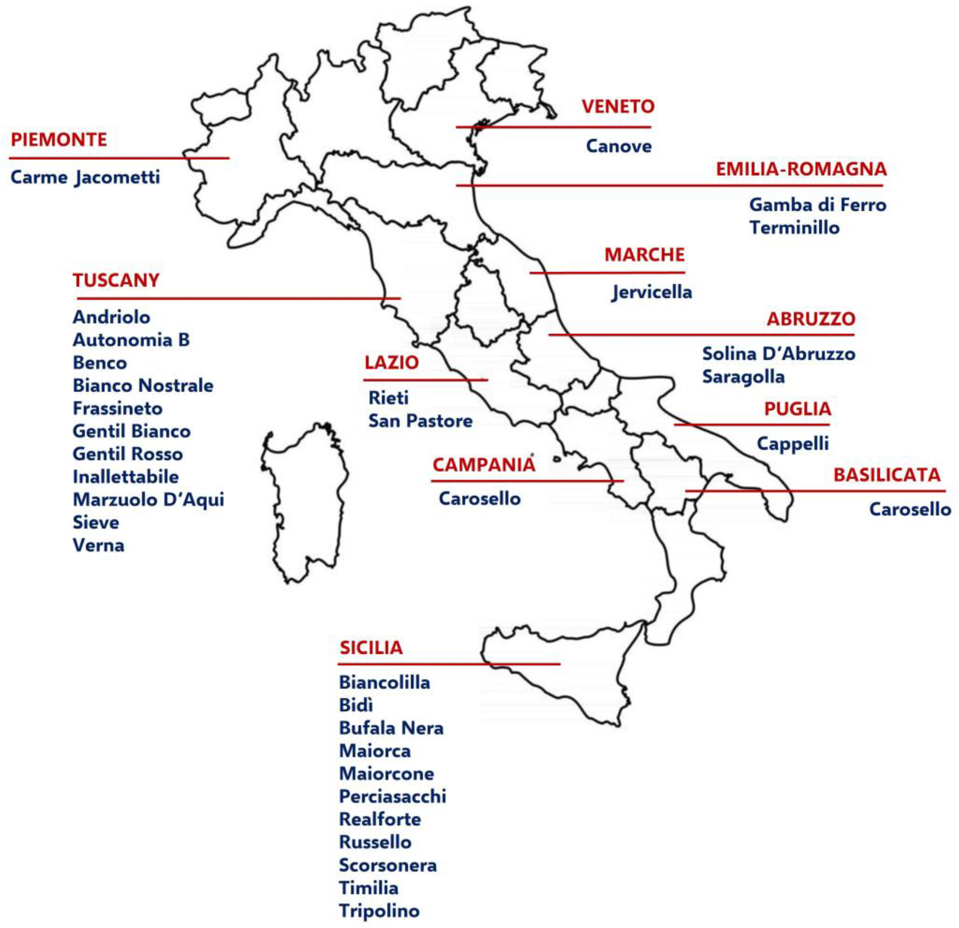 Agriculture 15 02375 g001