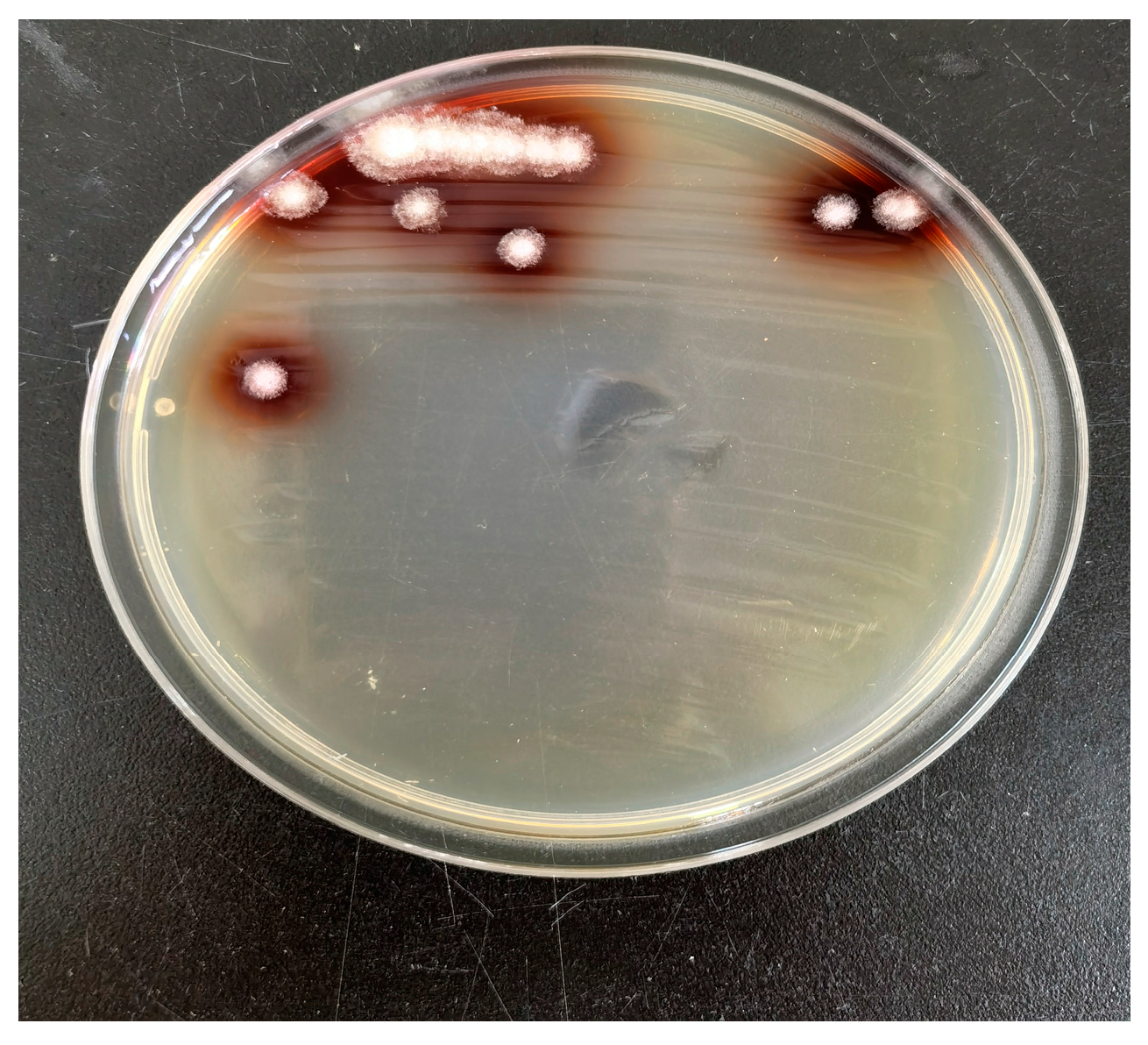 Agriculture 15 02376 g008 Agriculture 15 02376 g008