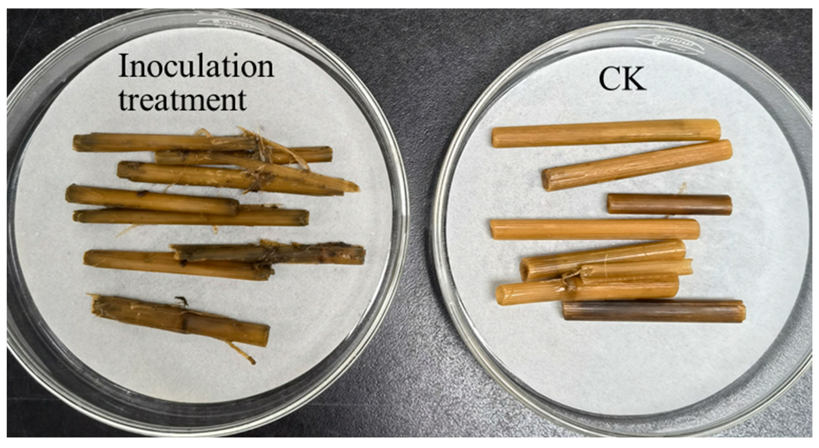 Agriculture 15 02376 g009 Agriculture 15 02376 g009