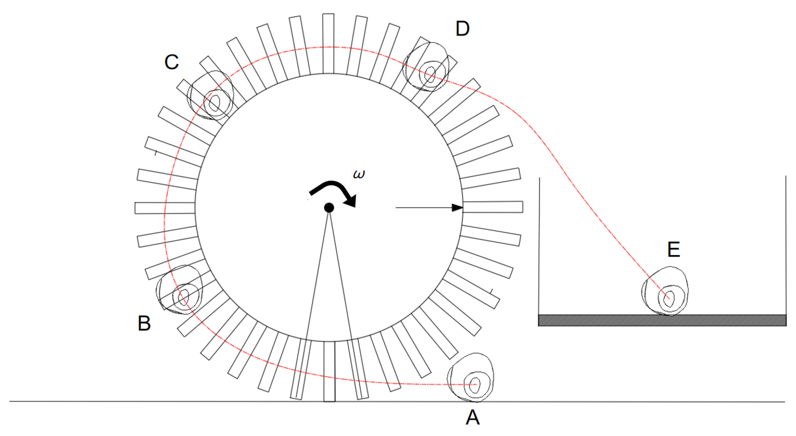 Agriculture 15 02382 g003