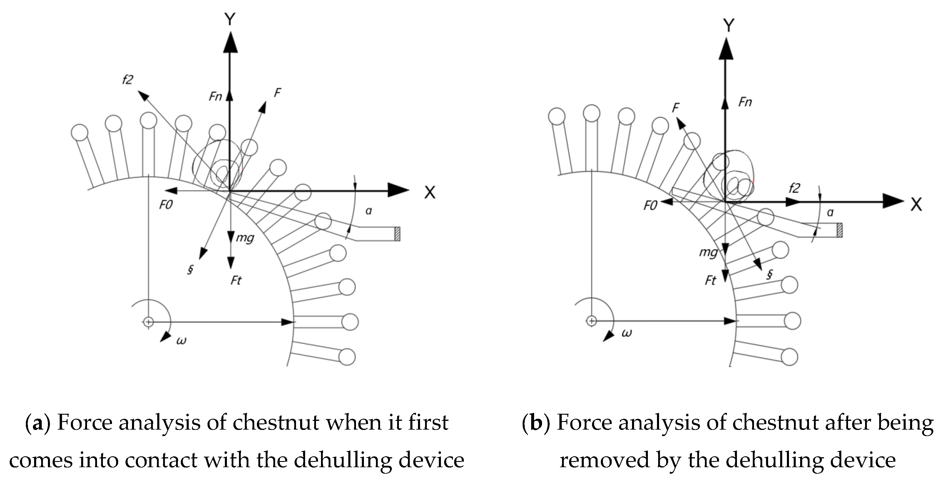 Agriculture 15 02382 g005