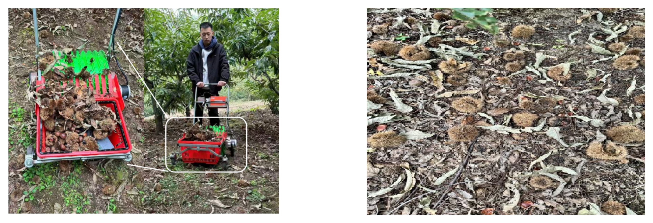 Agriculture 15 02382 g012