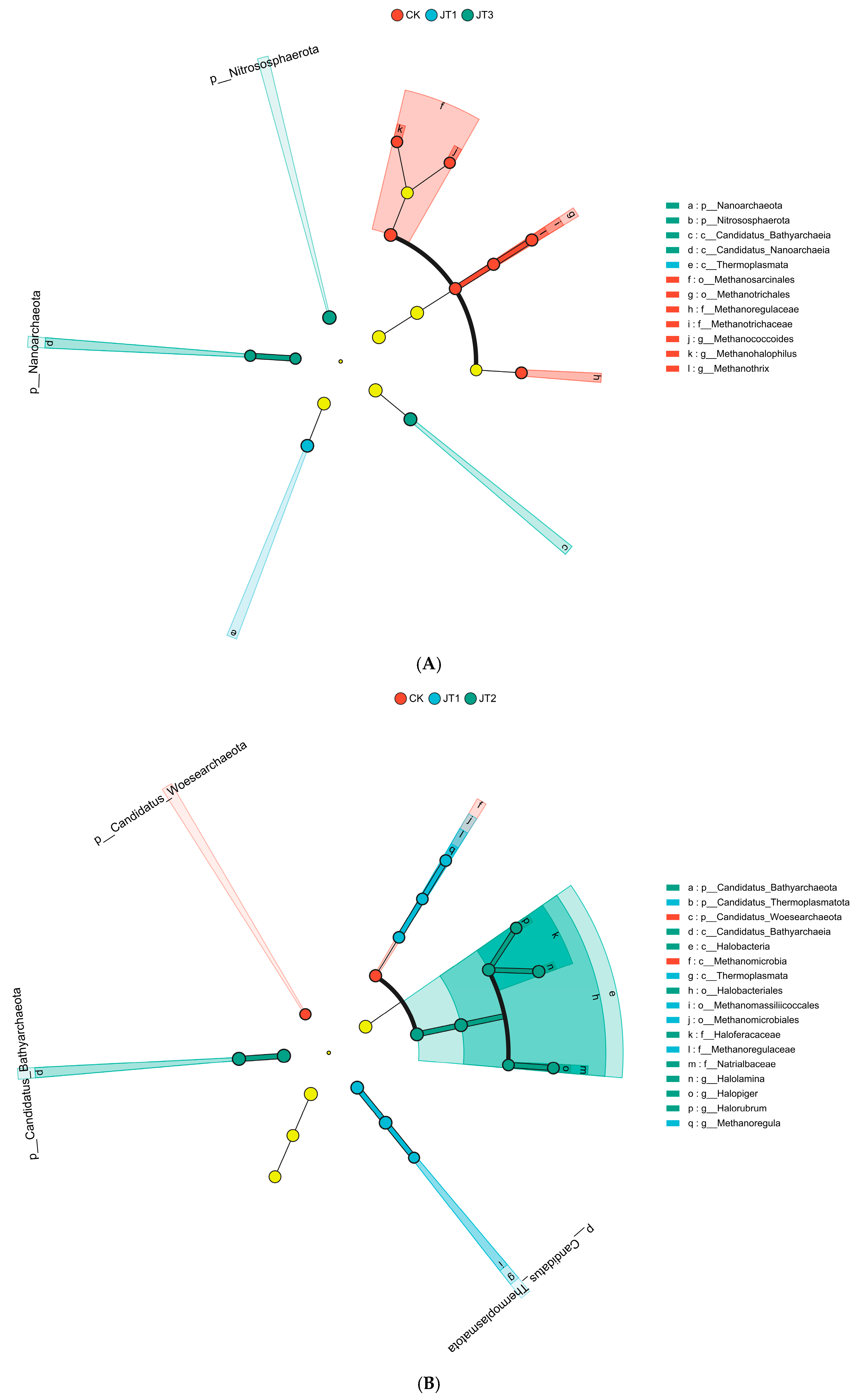 Agriculture 15 02384 g003a