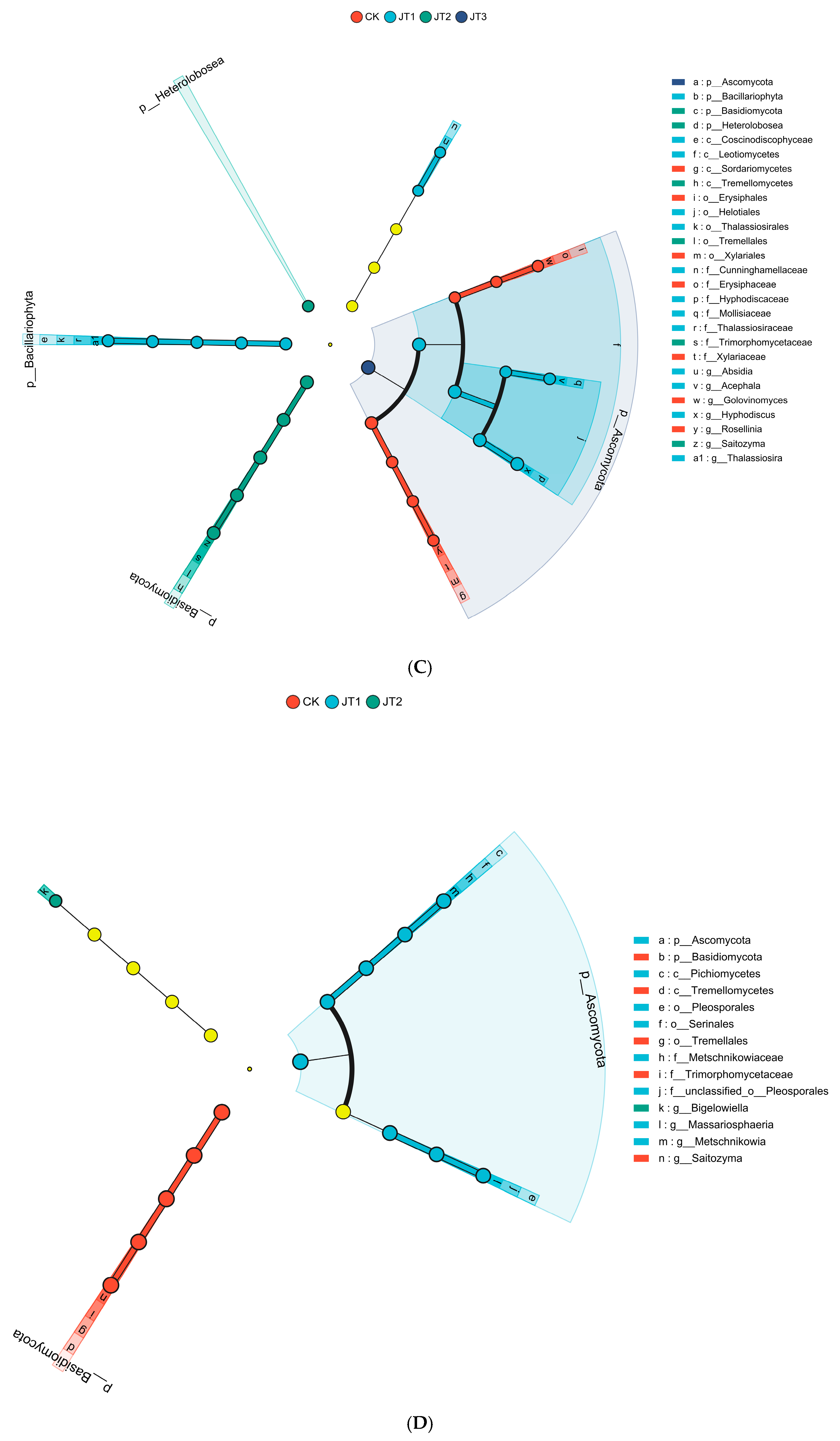 Agriculture 15 02384 g003b