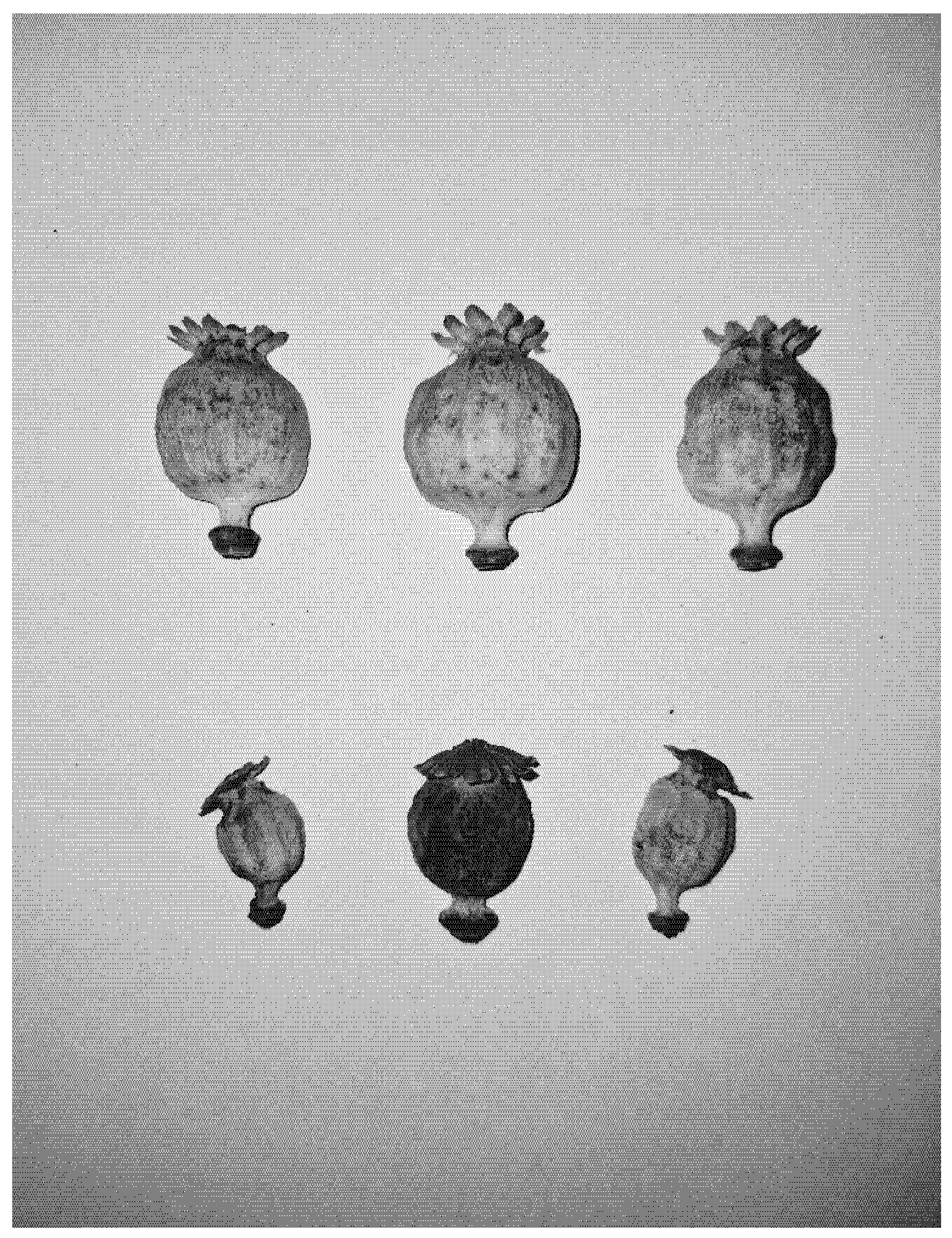 Agriculture 15 02386 g0a2