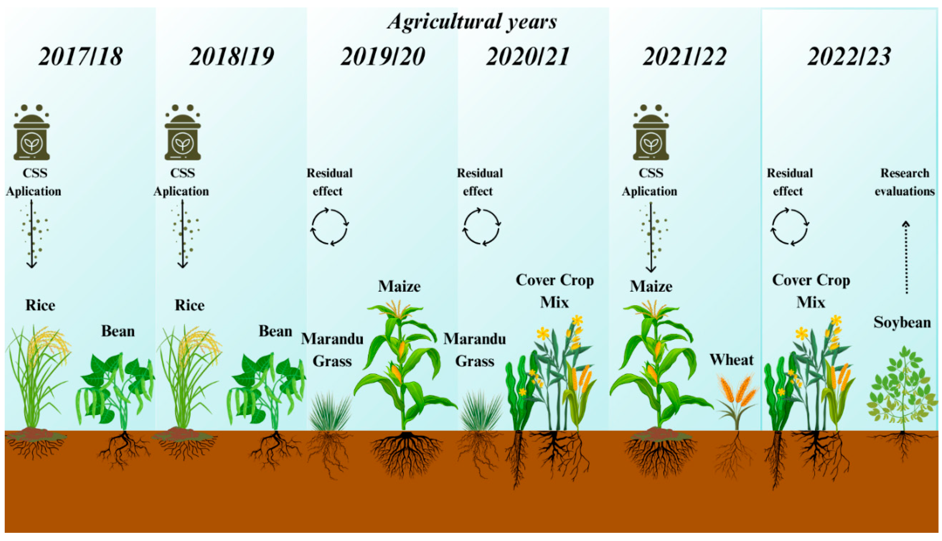 Agriculture 15 02388 g003