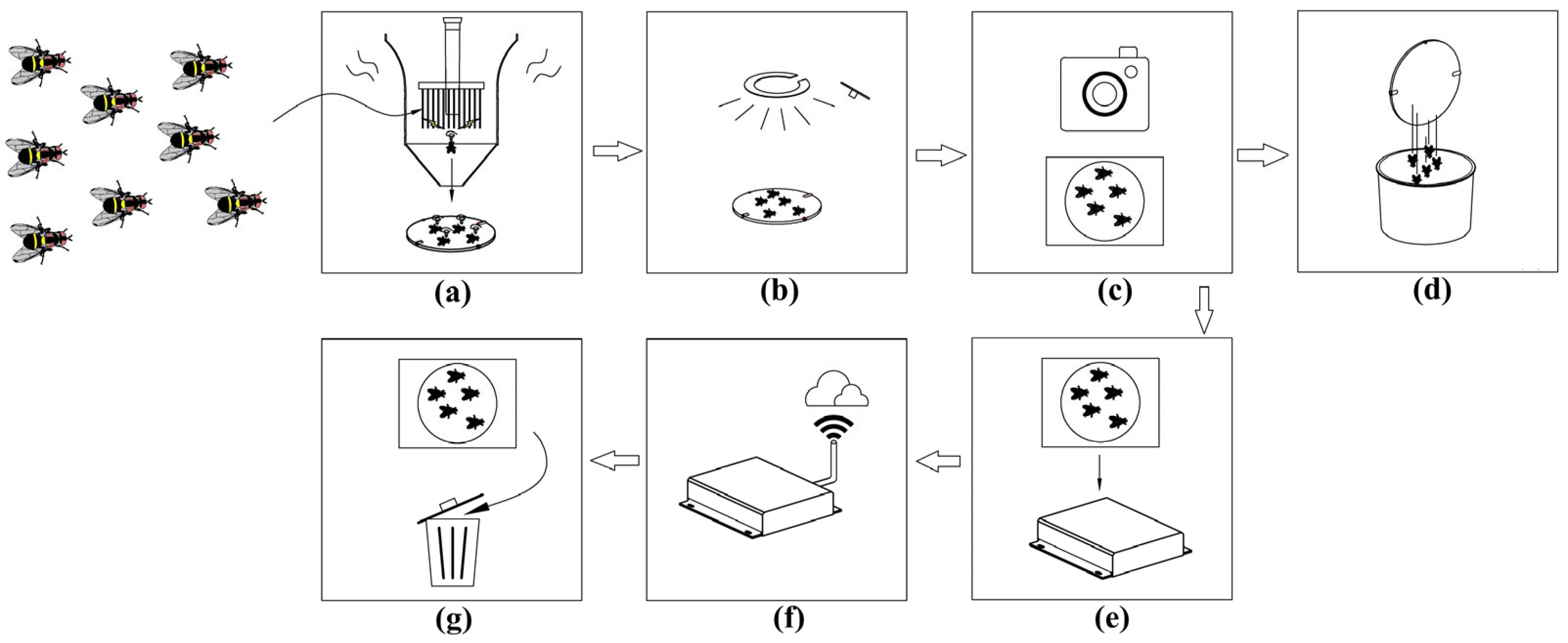 Agriculture 15 02391 g002