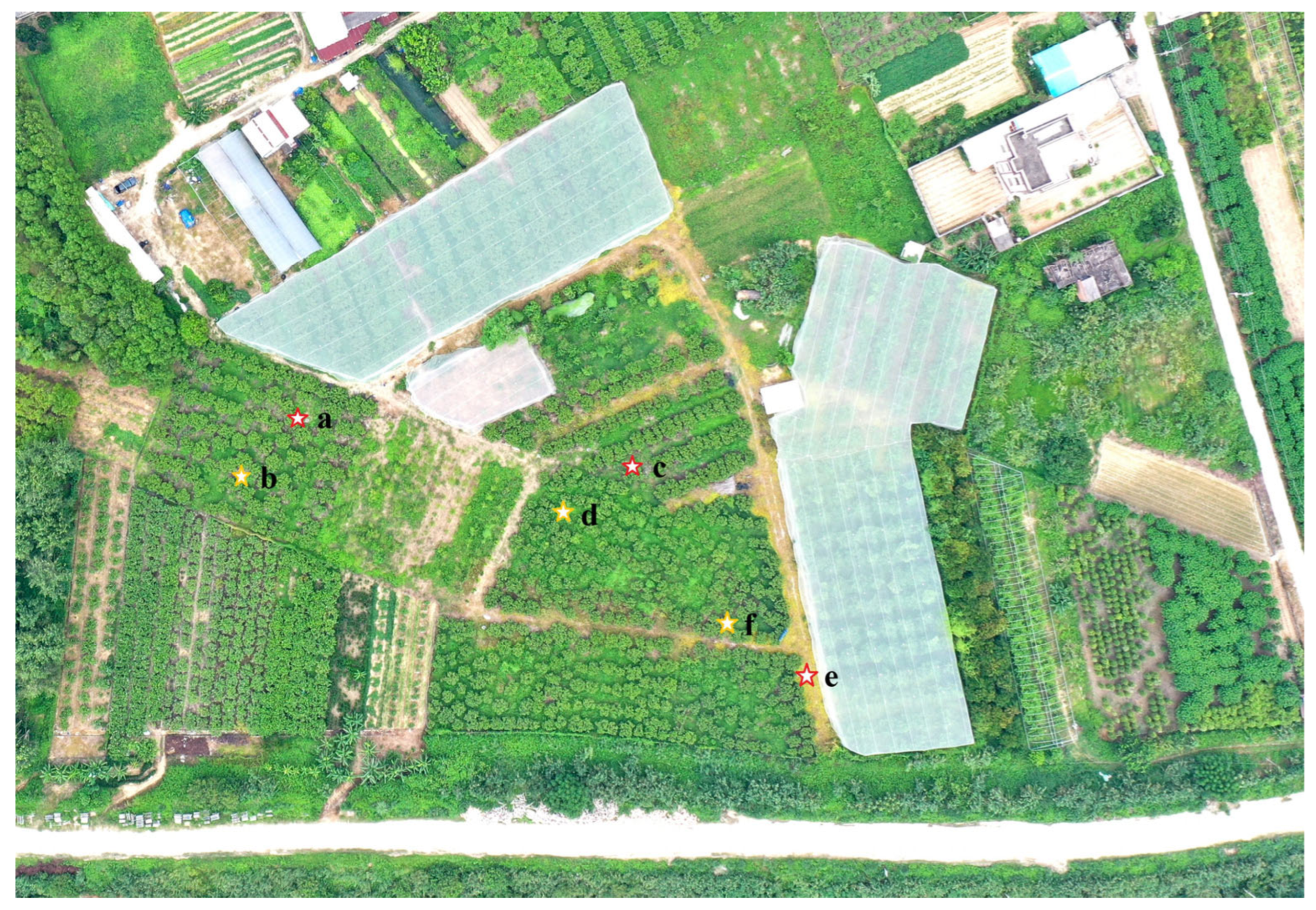 Agriculture 15 02391 g003