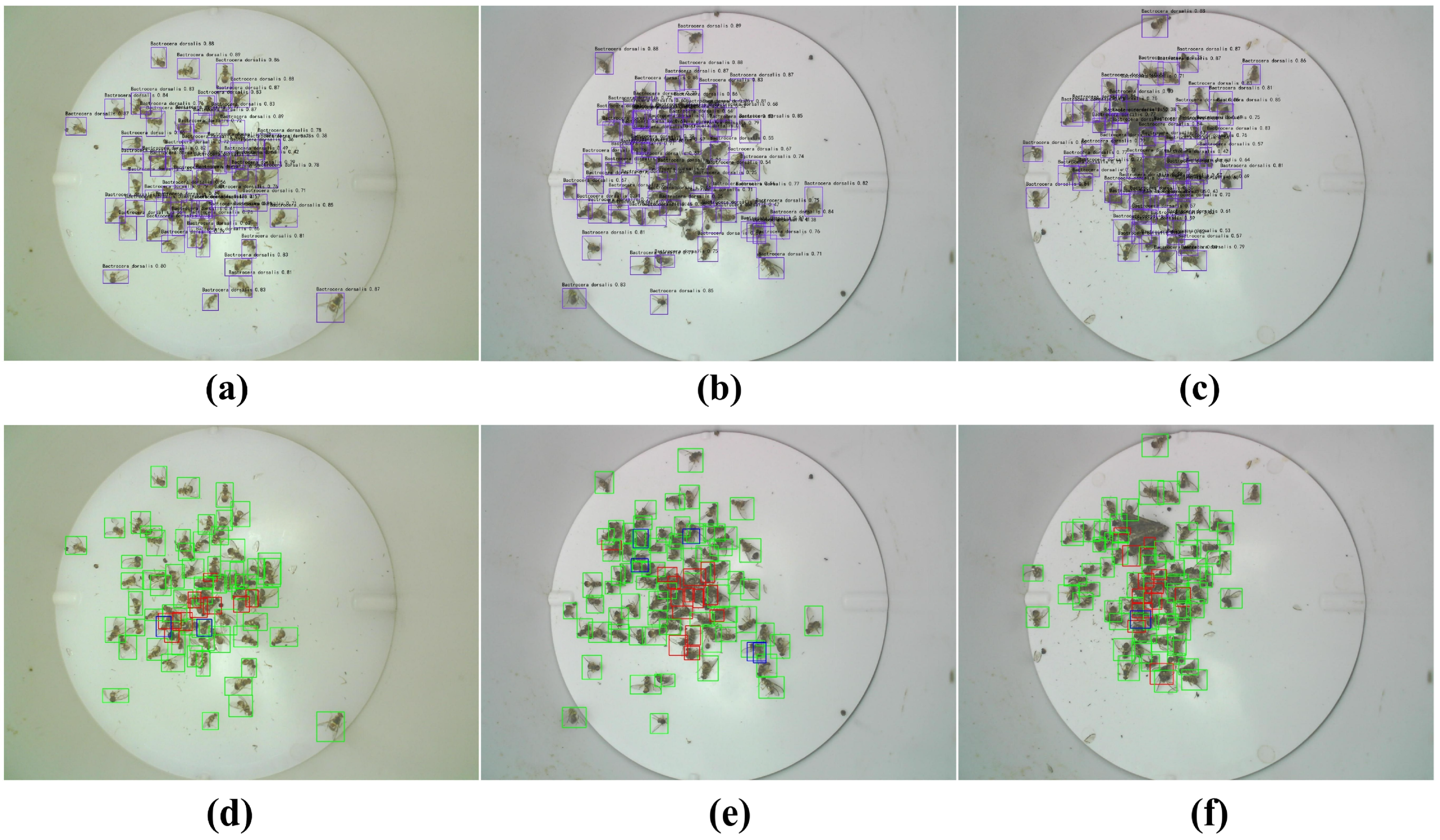 Agriculture 15 02391 g009