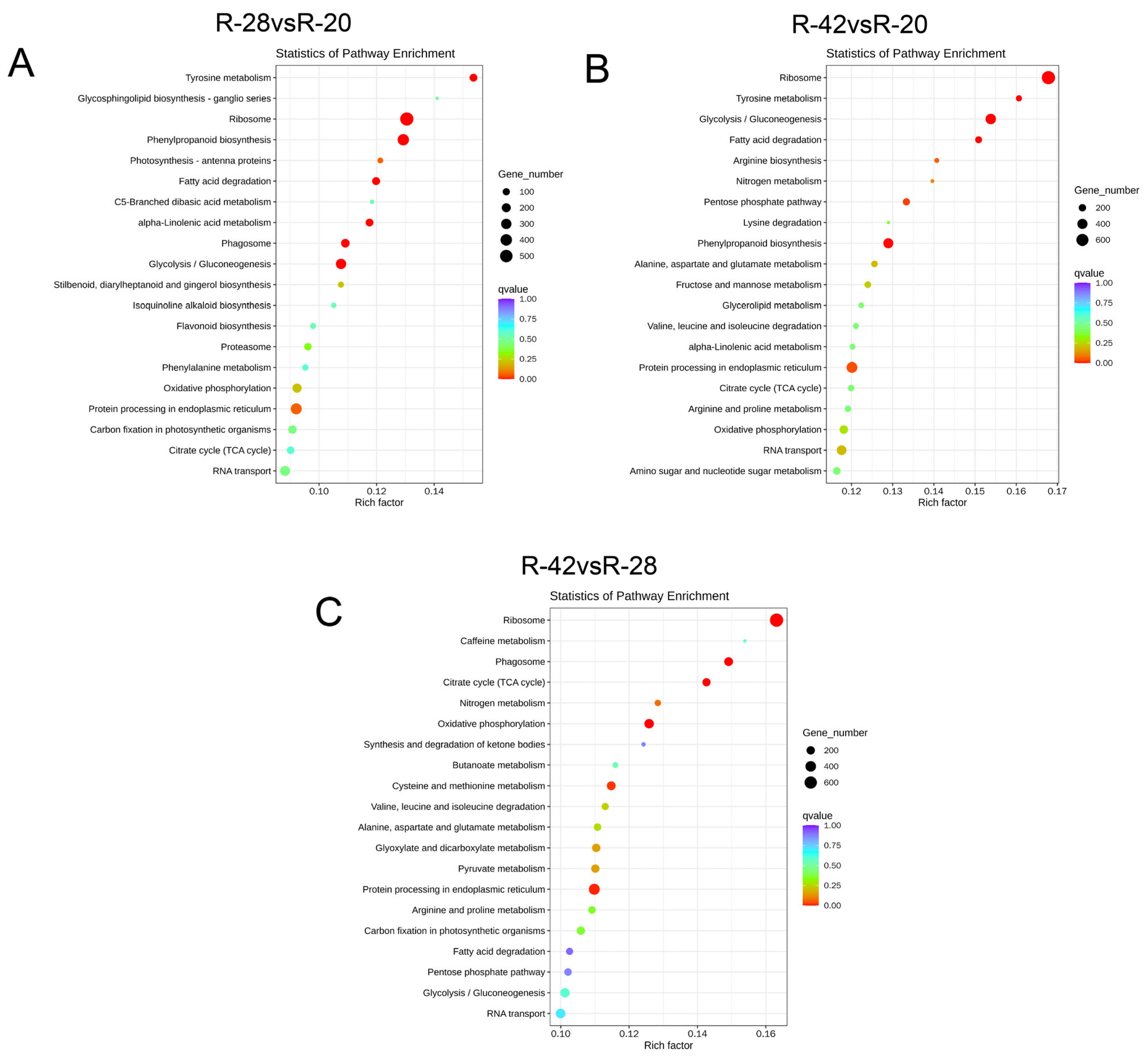 Agriculture 15 02392 g003
