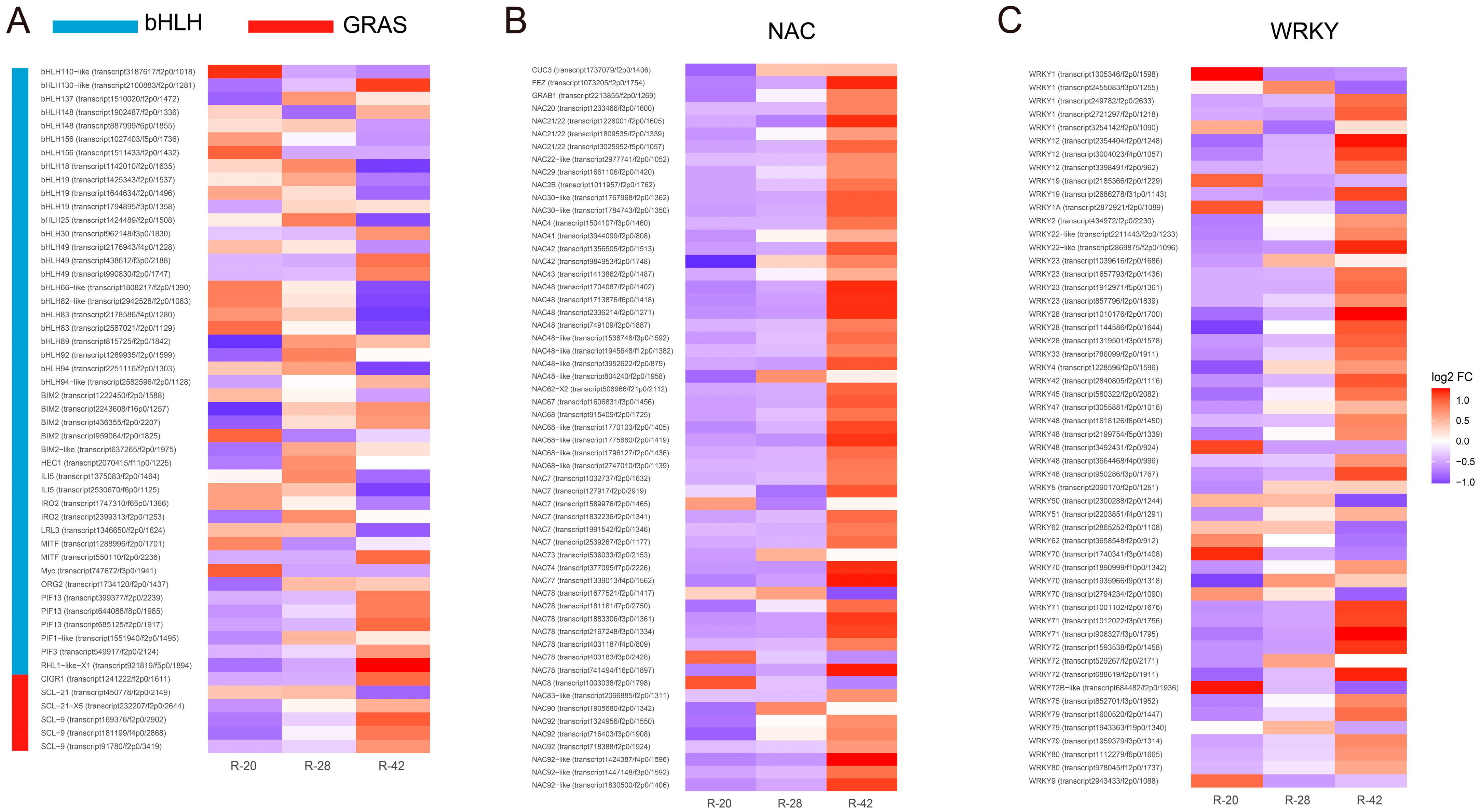 Agriculture 15 02392 g005