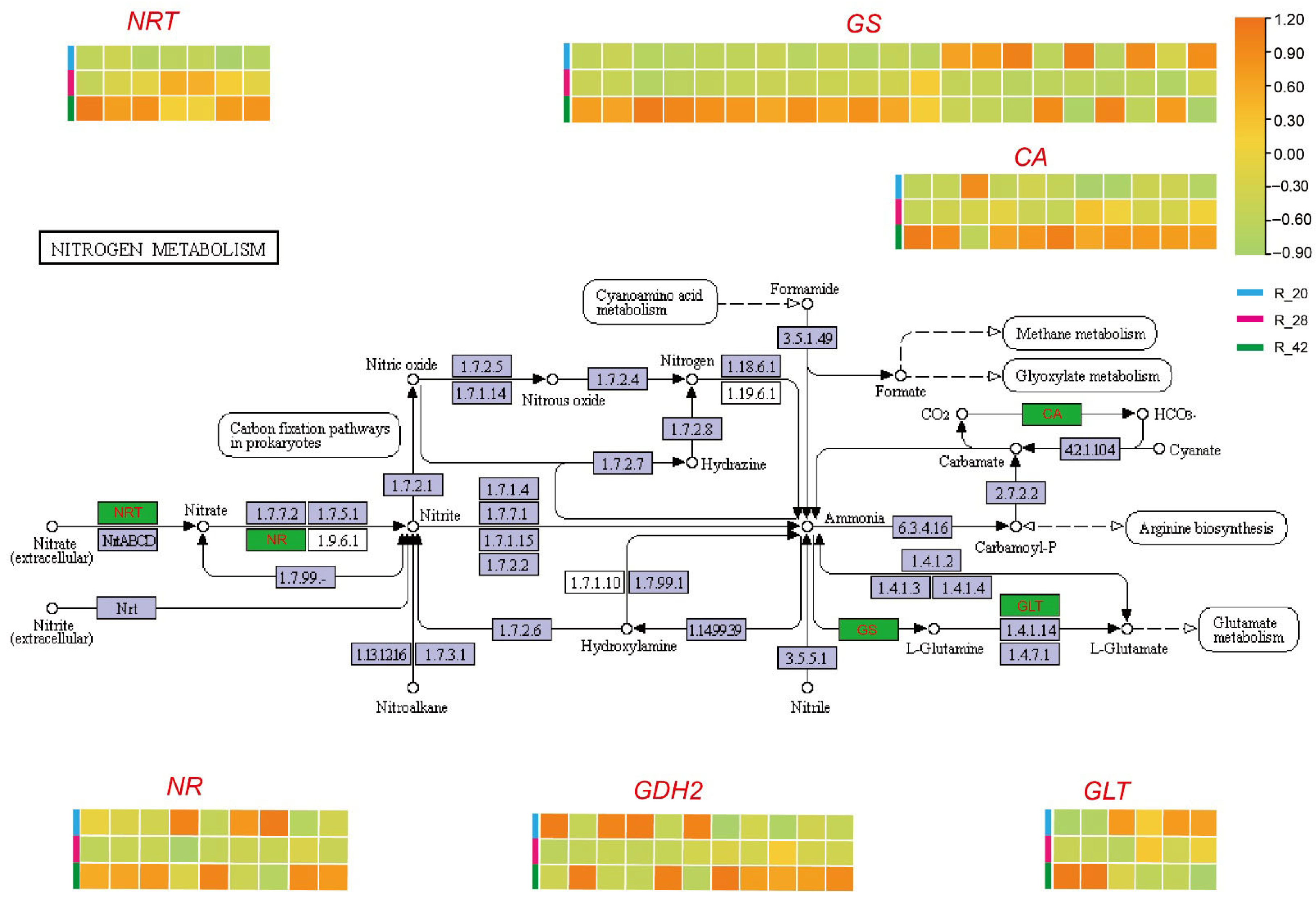 Agriculture 15 02392 g006