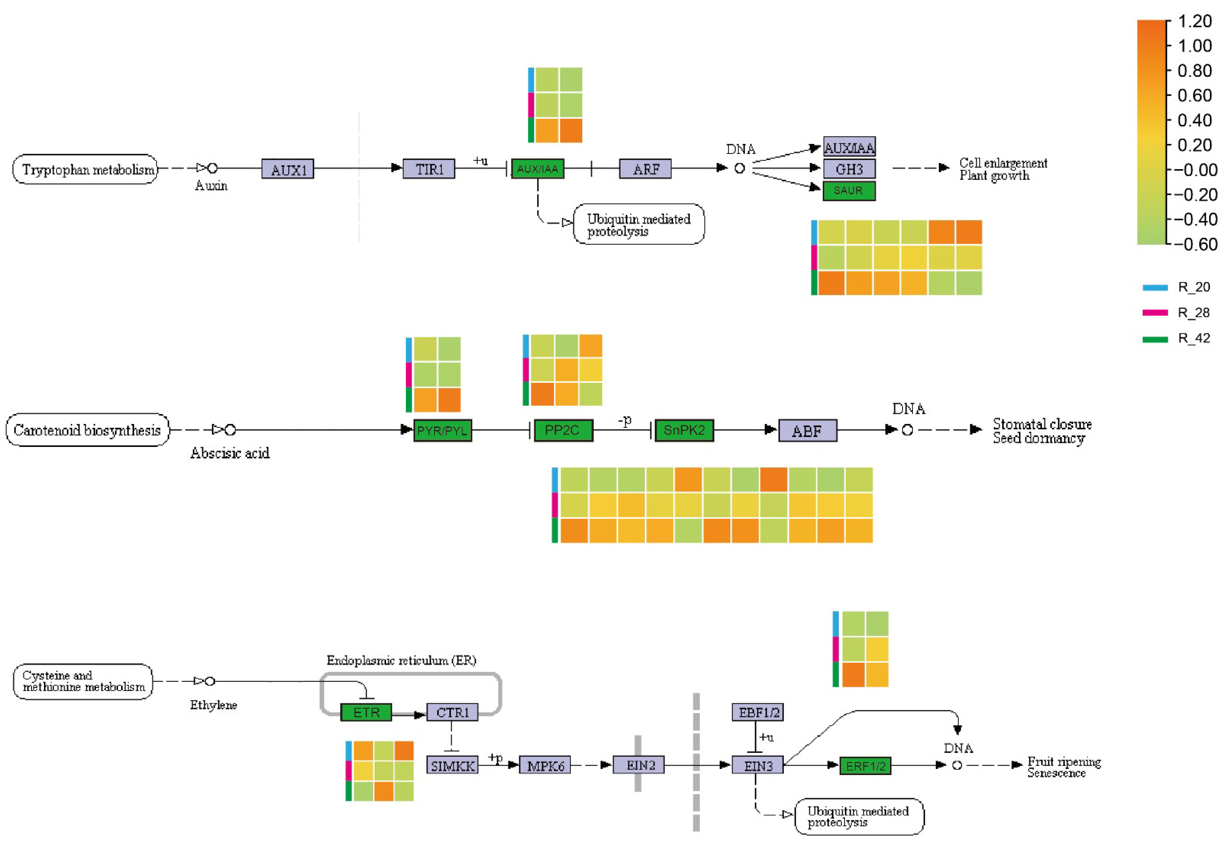 Agriculture 15 02392 g007