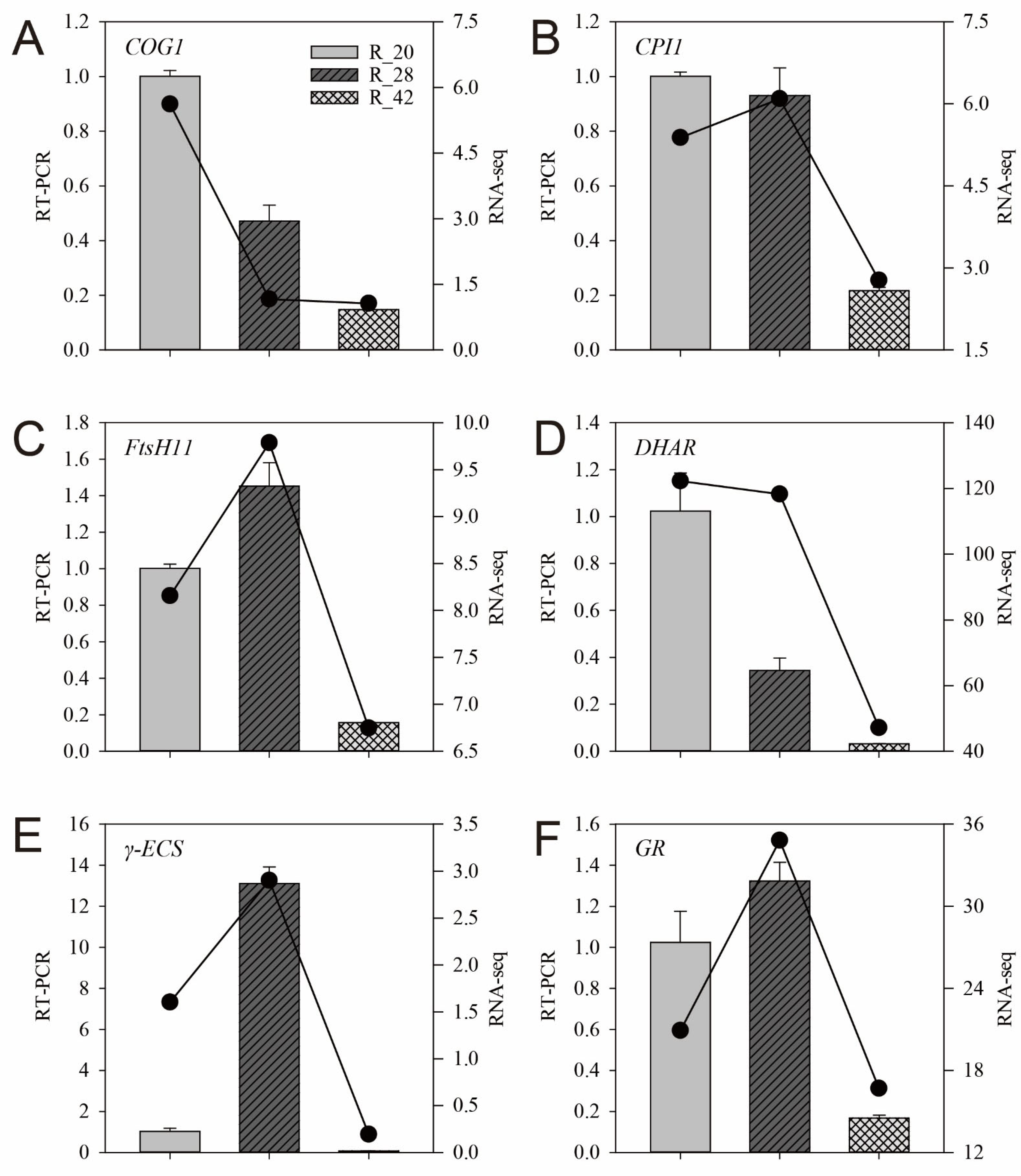 Agriculture 15 02392 g008