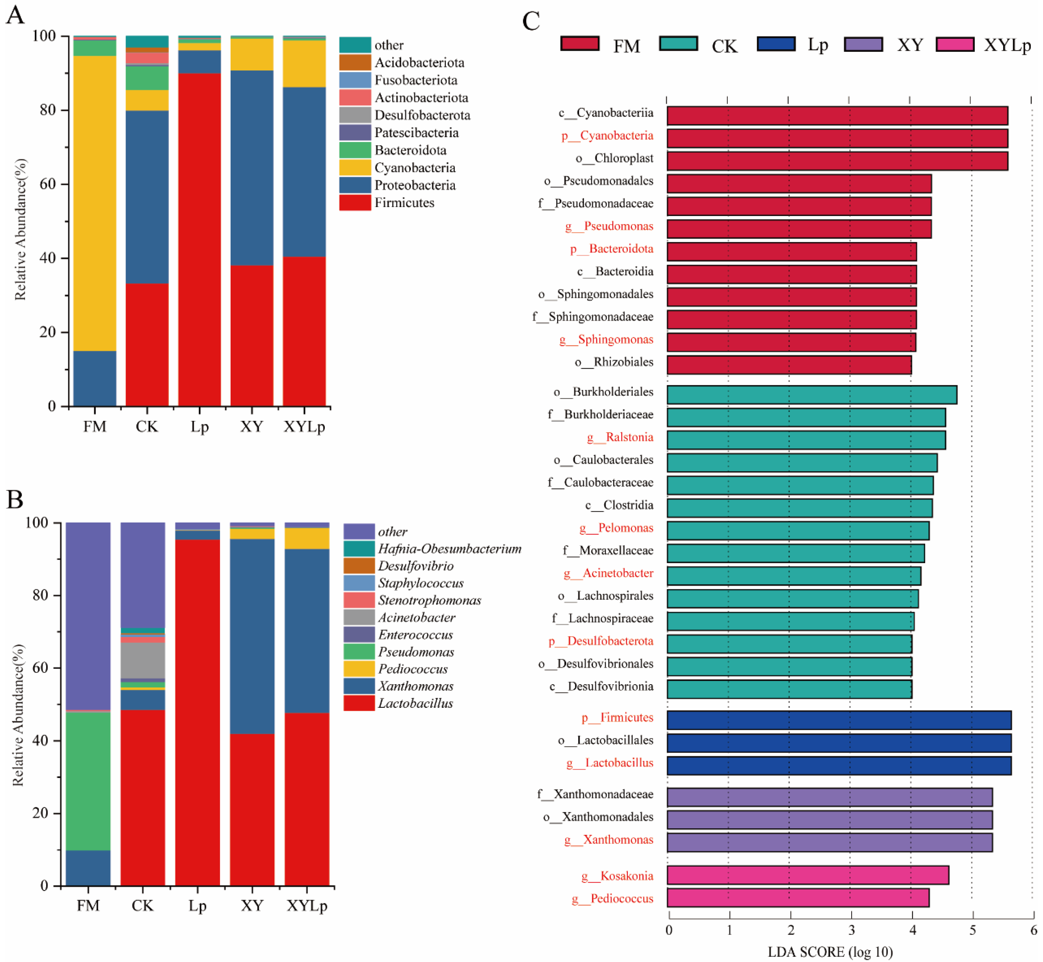 Agriculture 15 02398 g002