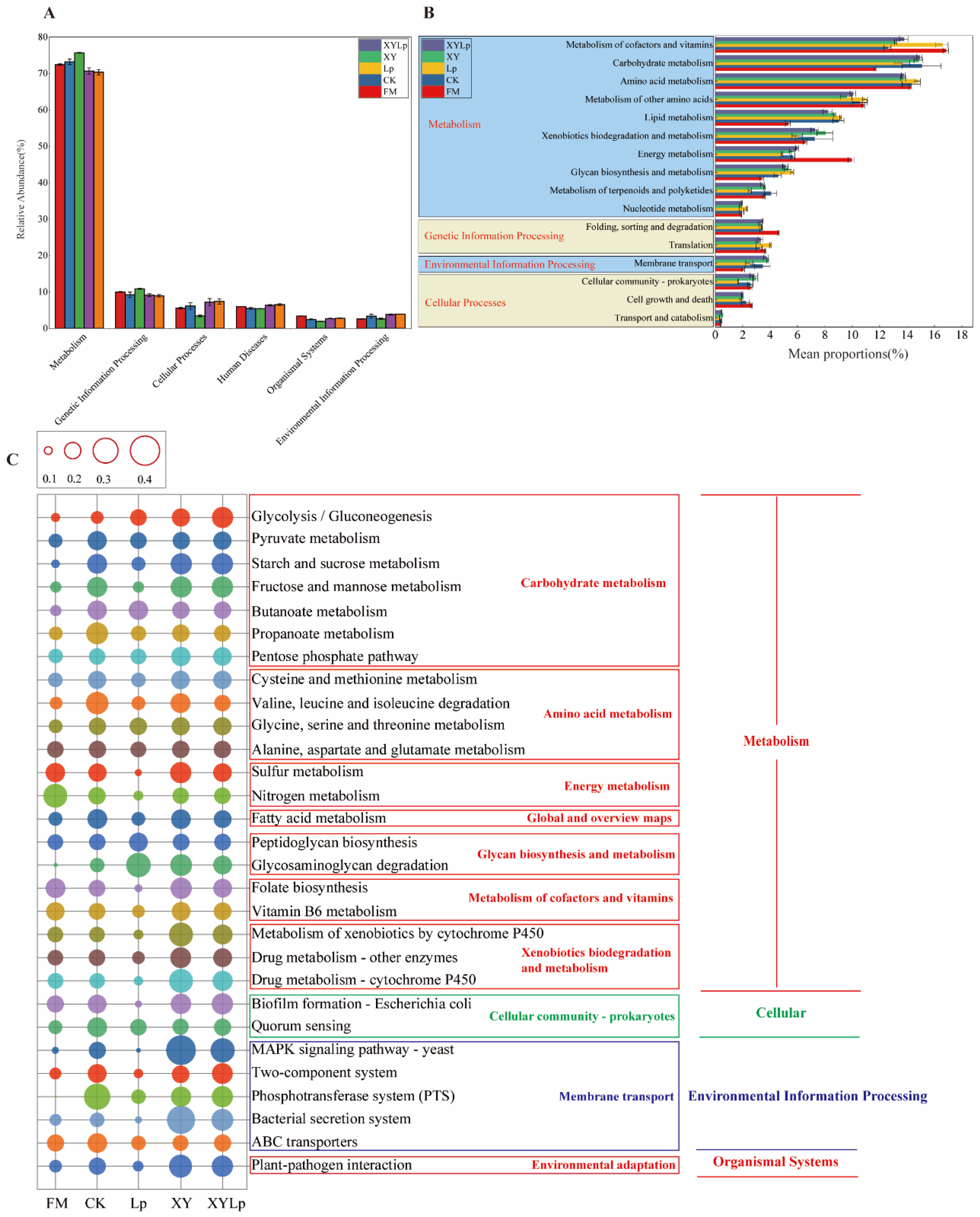 Agriculture 15 02398 g004