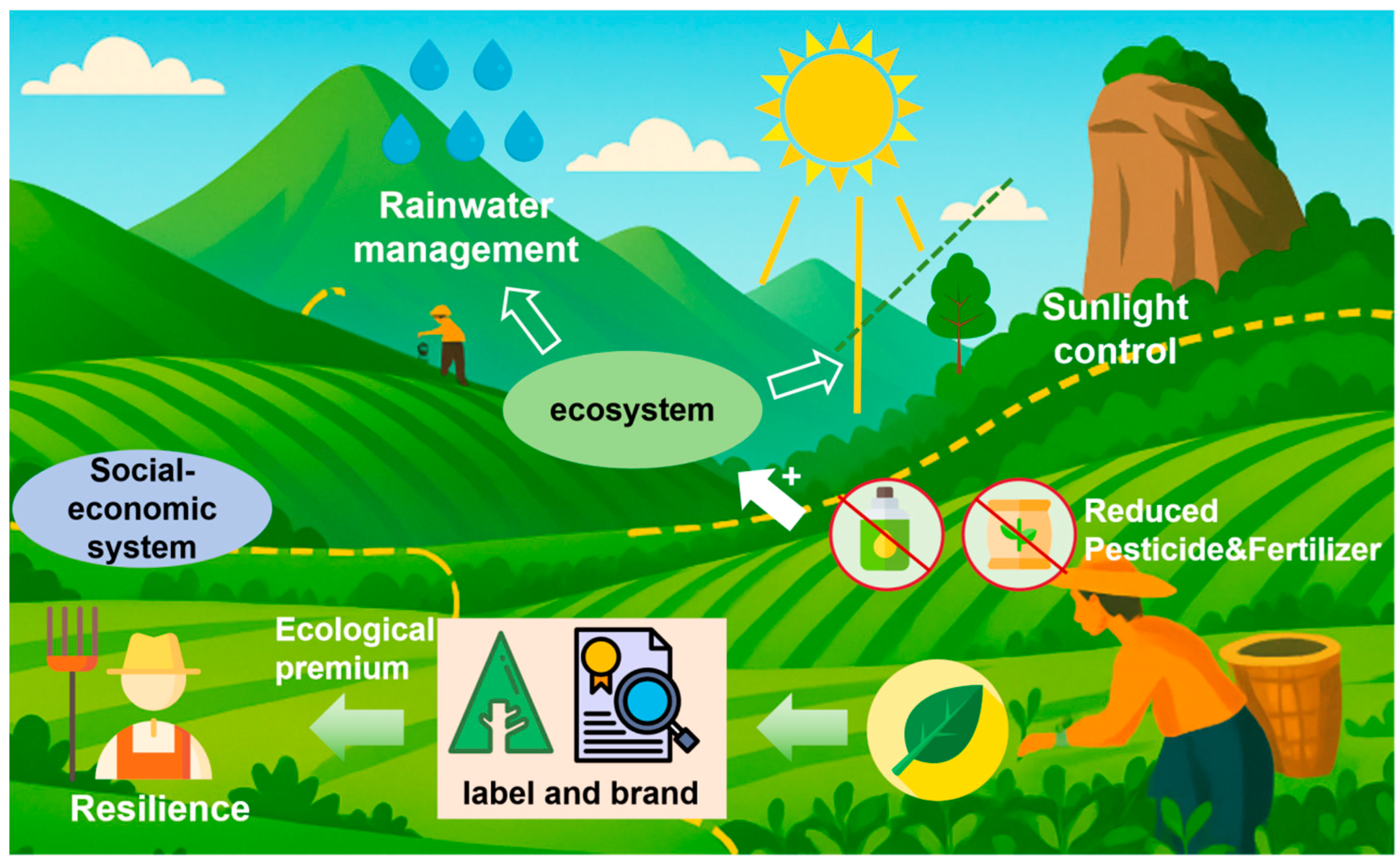 Agriculture 15 02408 g005