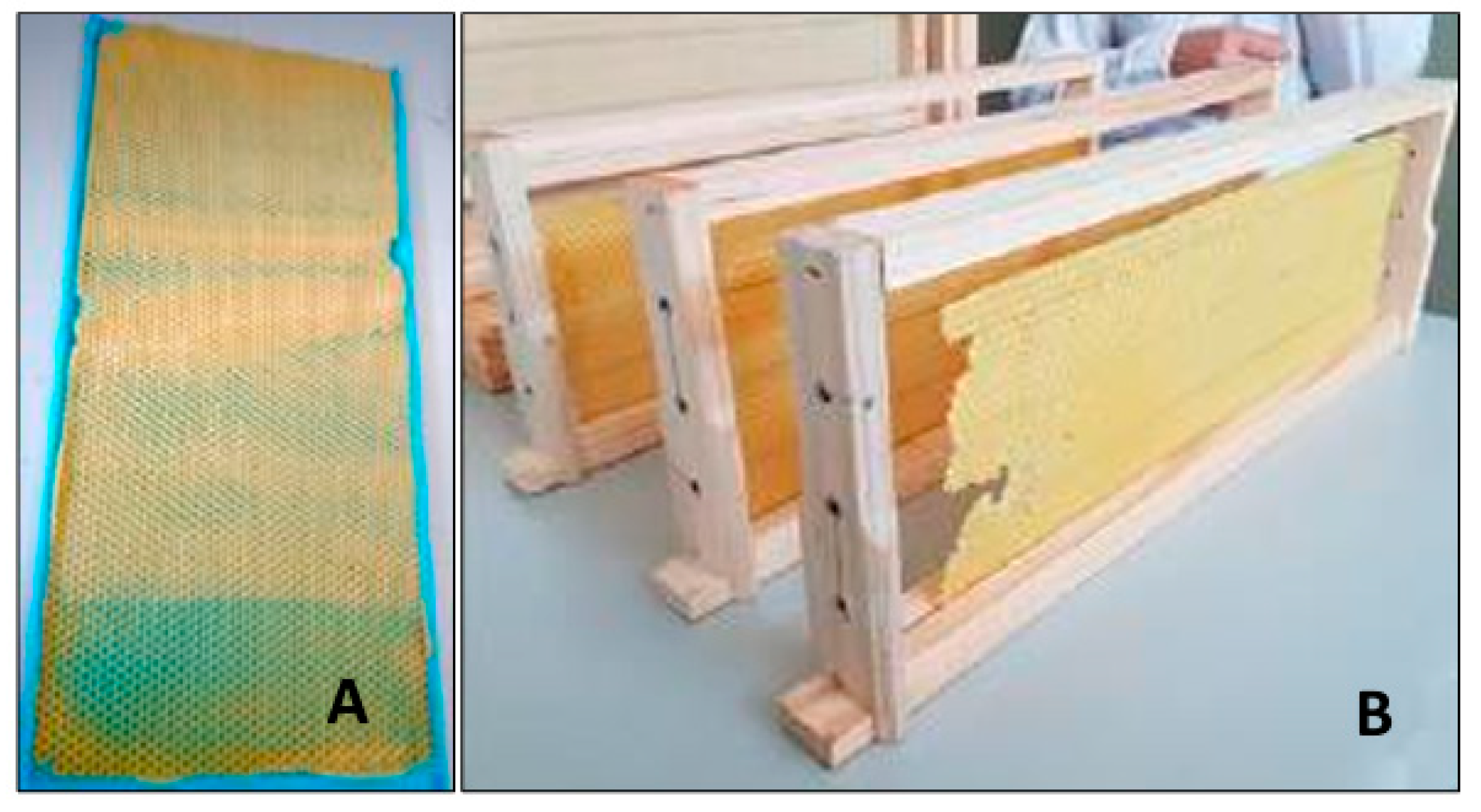 Agriculture 15 02409 g002