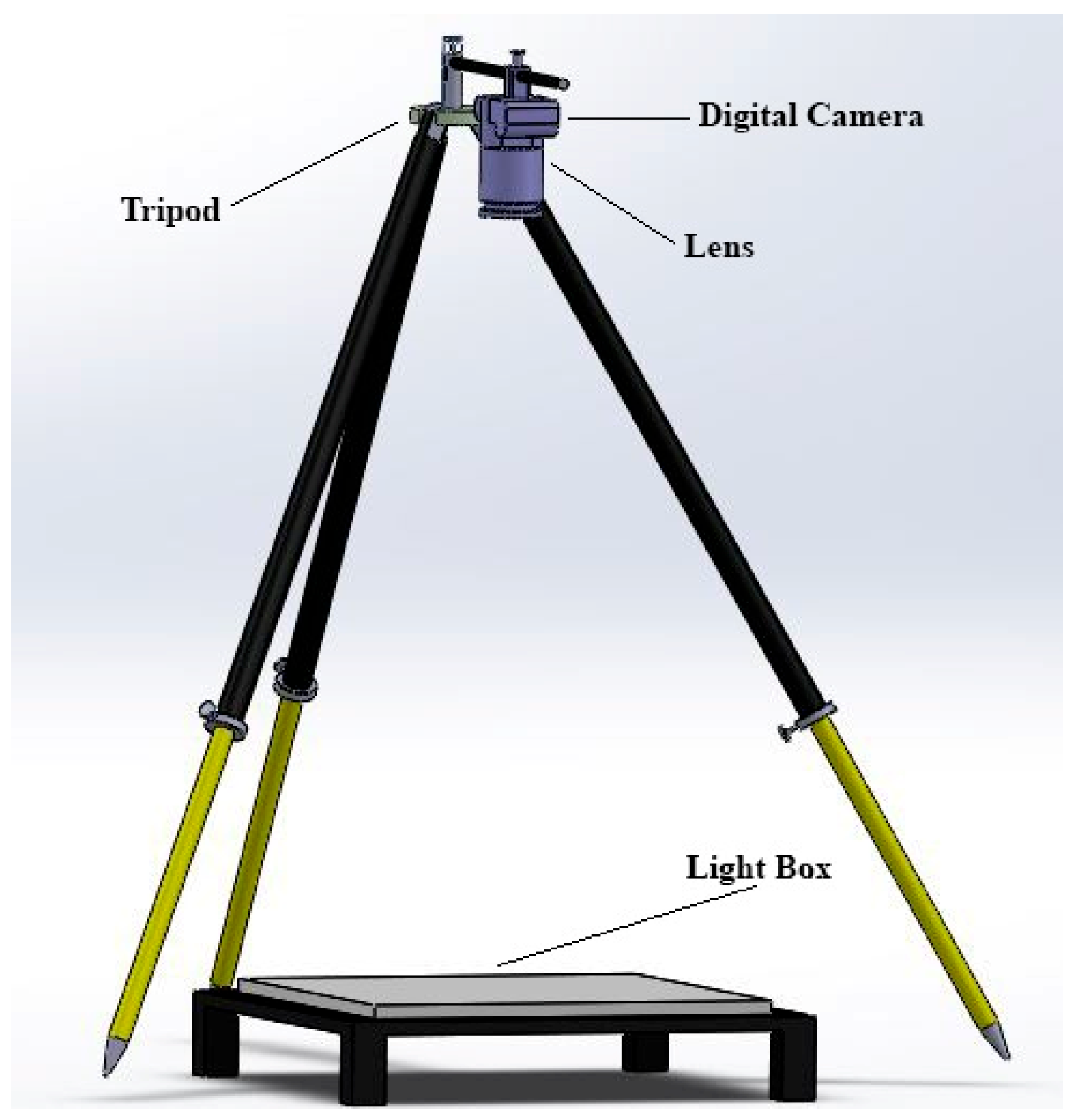 Agriculture 15 02411 g001