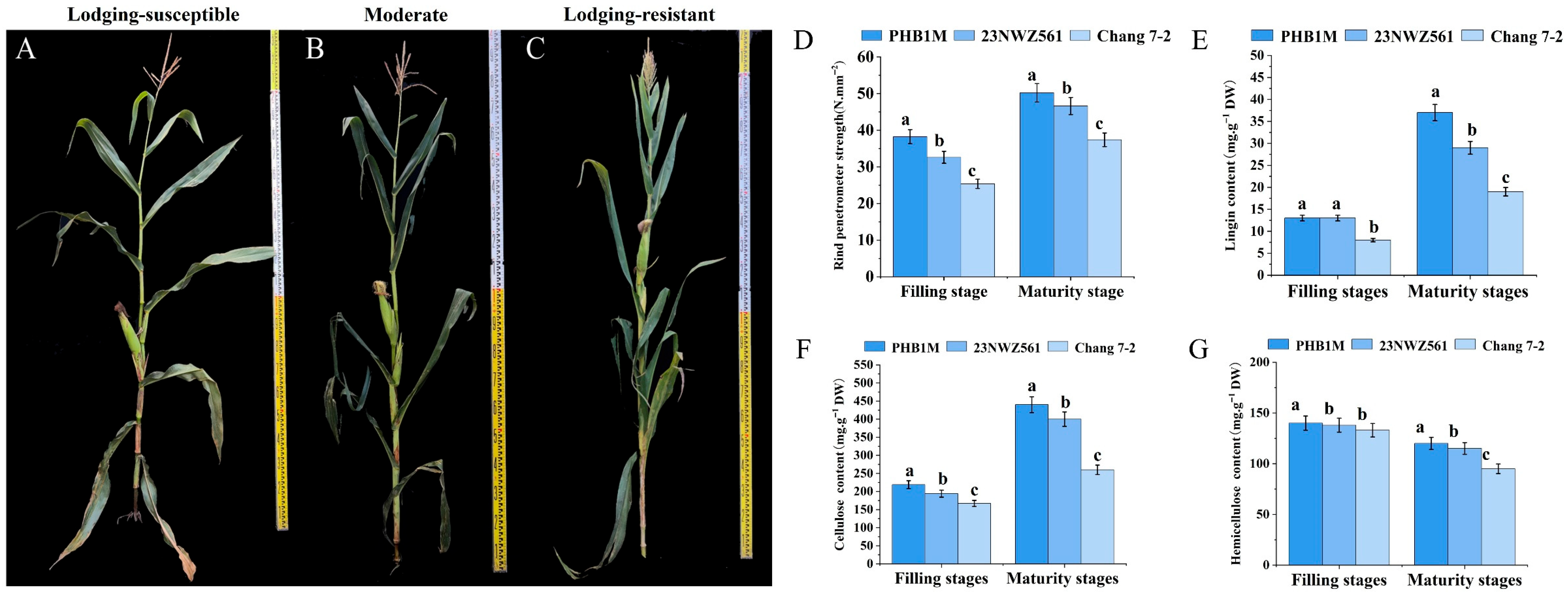 Agriculture 15 02416 g001 Agriculture 15 02416 g001