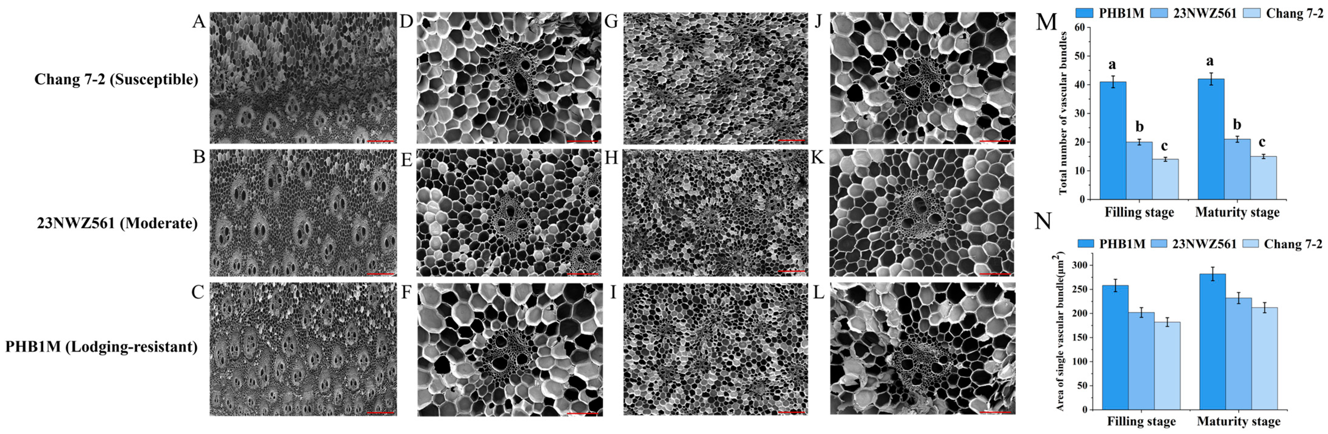 Agriculture 15 02416 g002 Agriculture 15 02416 g002