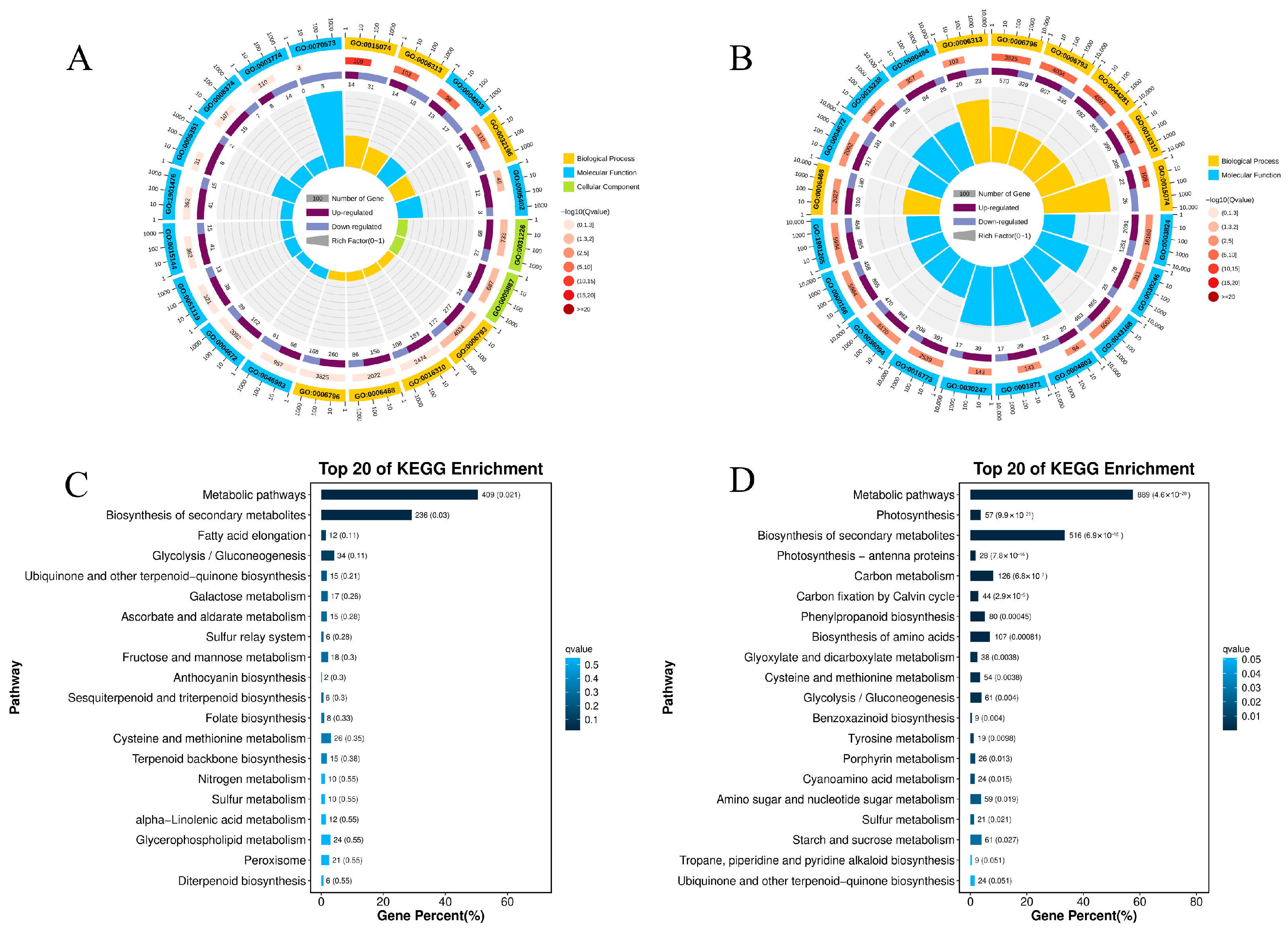 Agriculture 15 02416 g004 Agriculture 15 02416 g004