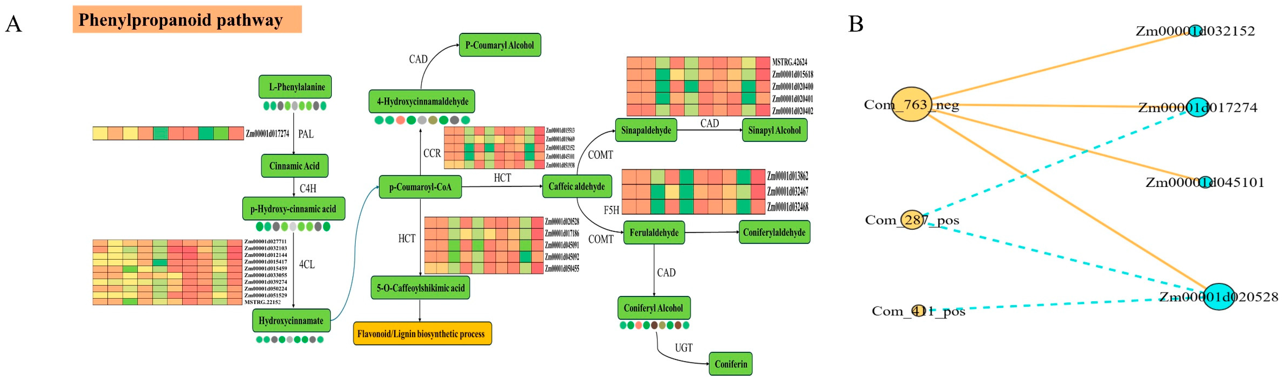Agriculture 15 02416 g006 Agriculture 15 02416 g006