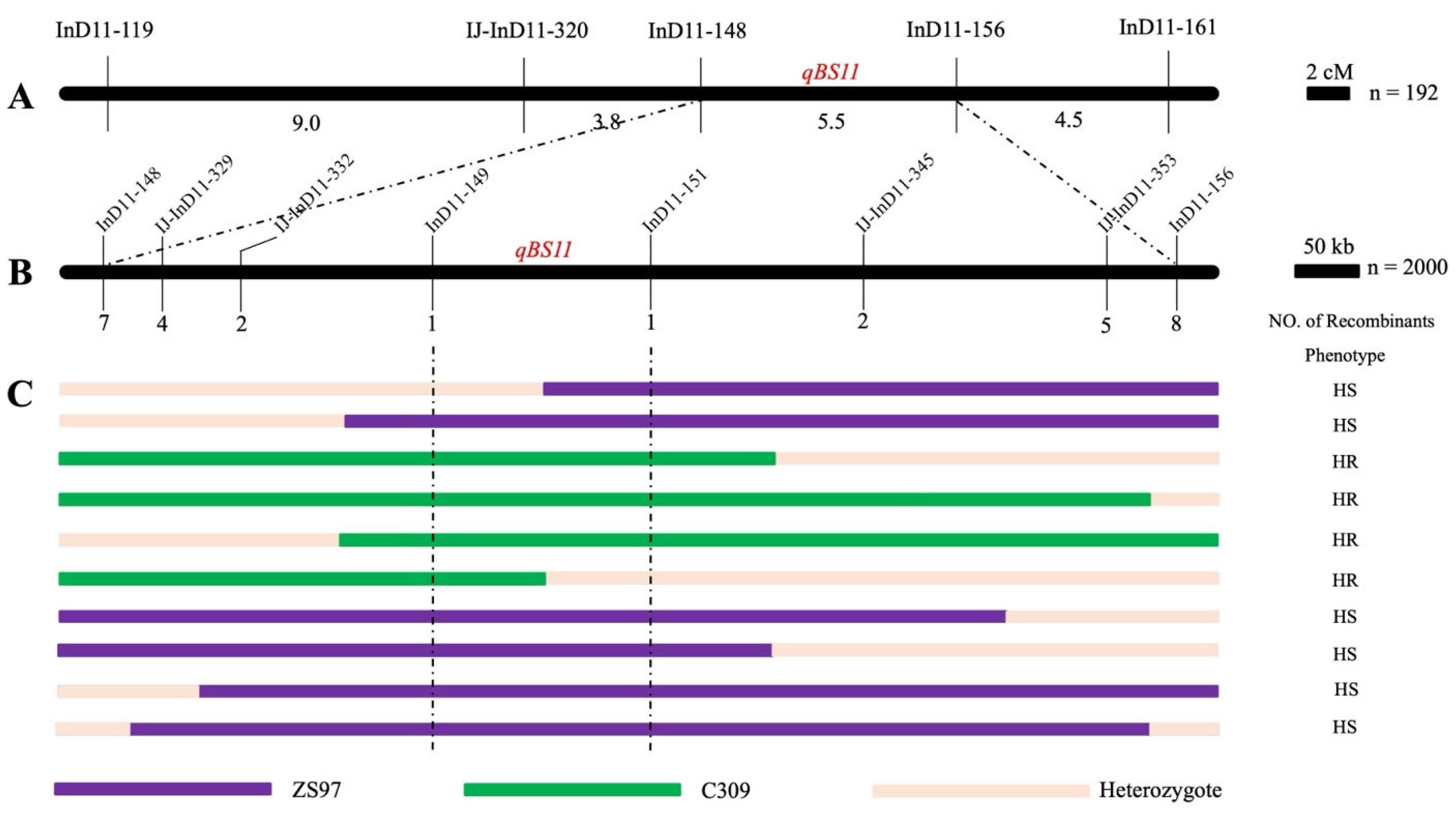 Agriculture 15 02417 g004