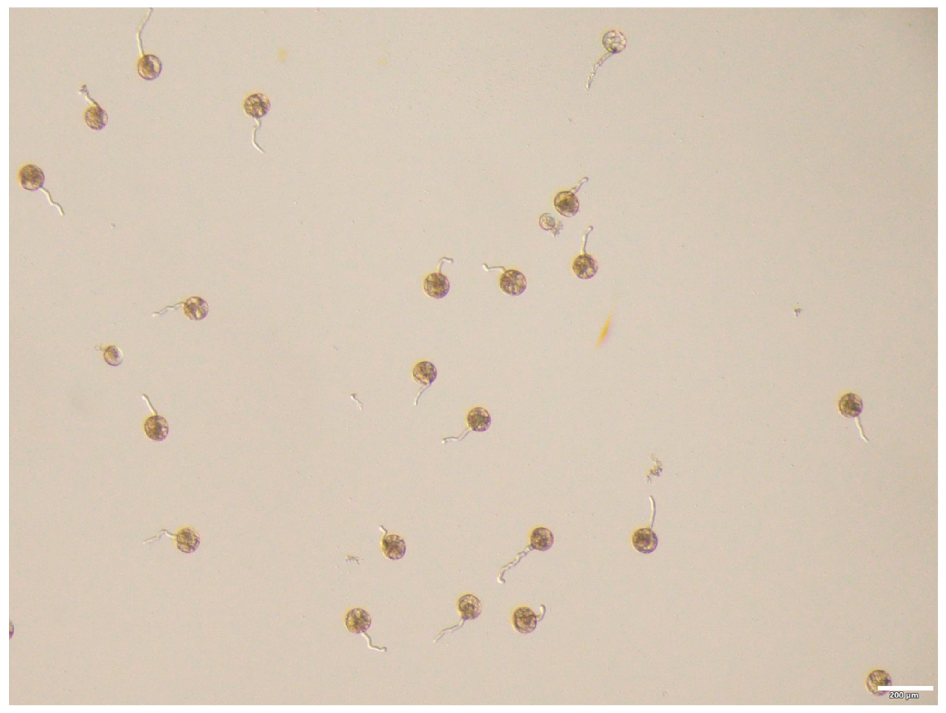 Agriculture 15 02420 g002