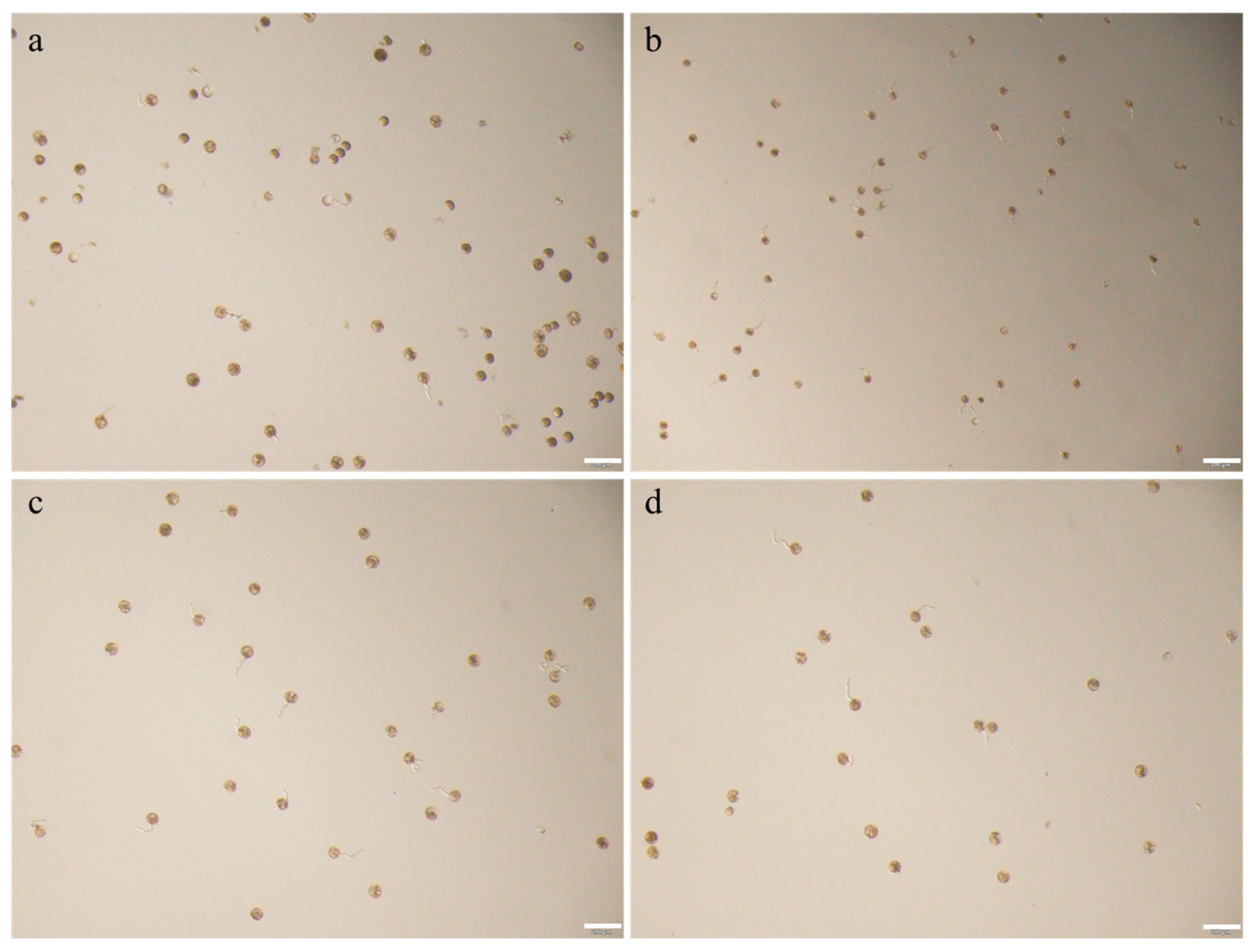 Agriculture 15 02420 g0a1