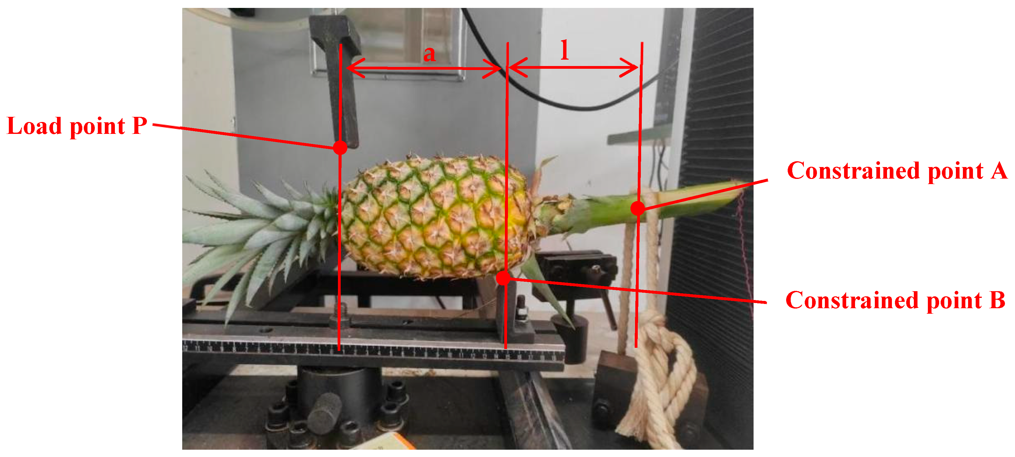 Agriculture 15 02422 g004