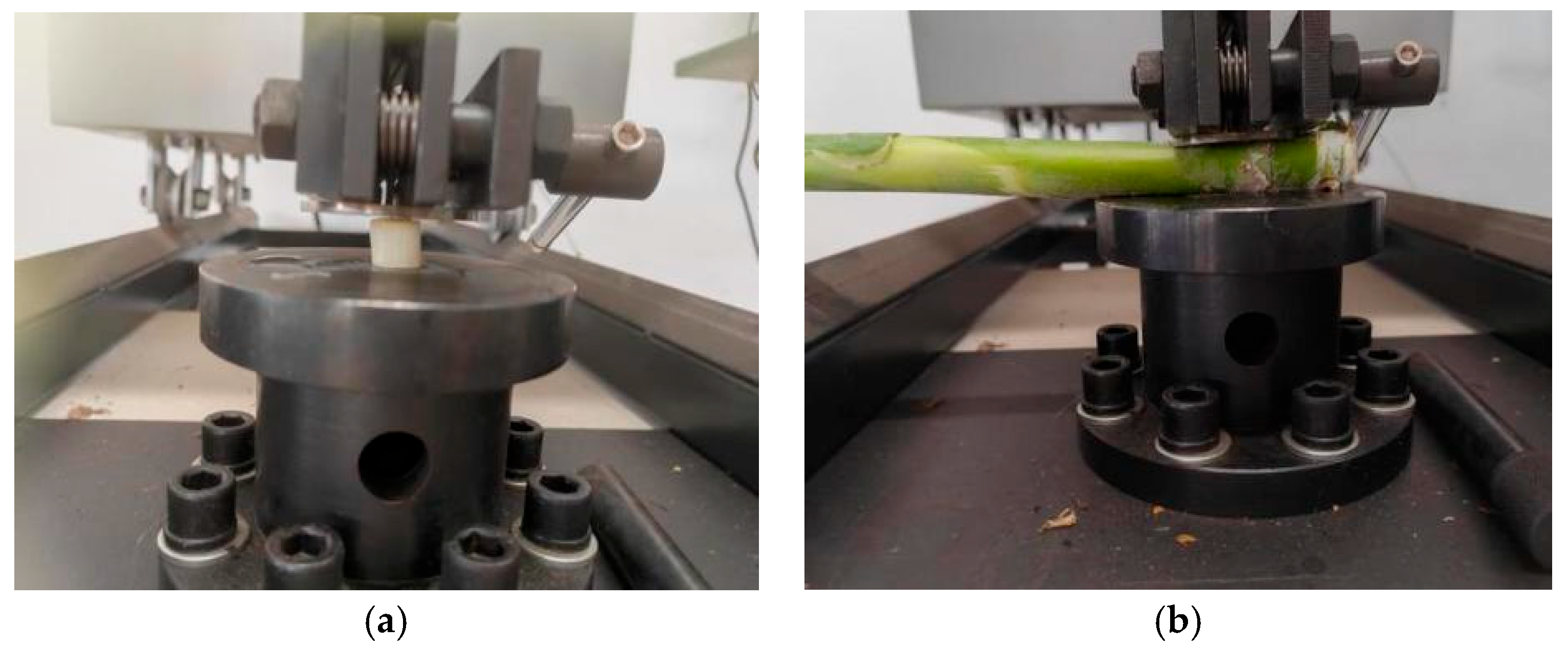 Agriculture 15 02422 g006