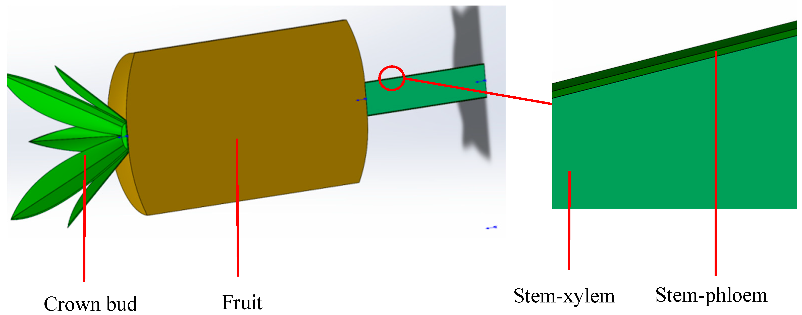 Agriculture 15 02422 g008