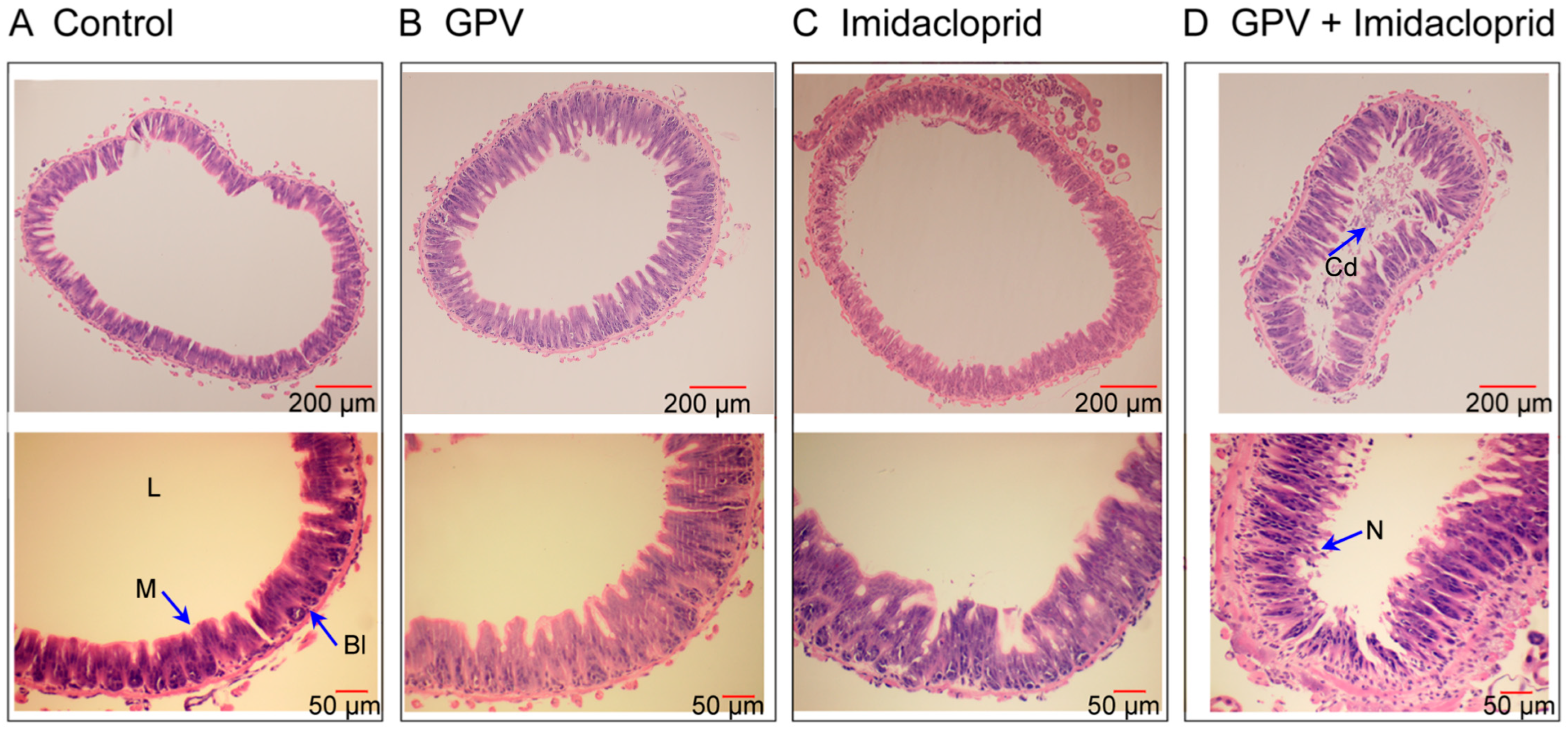 Agriculture 15 02425 g002 Agriculture 15 02425 g002
