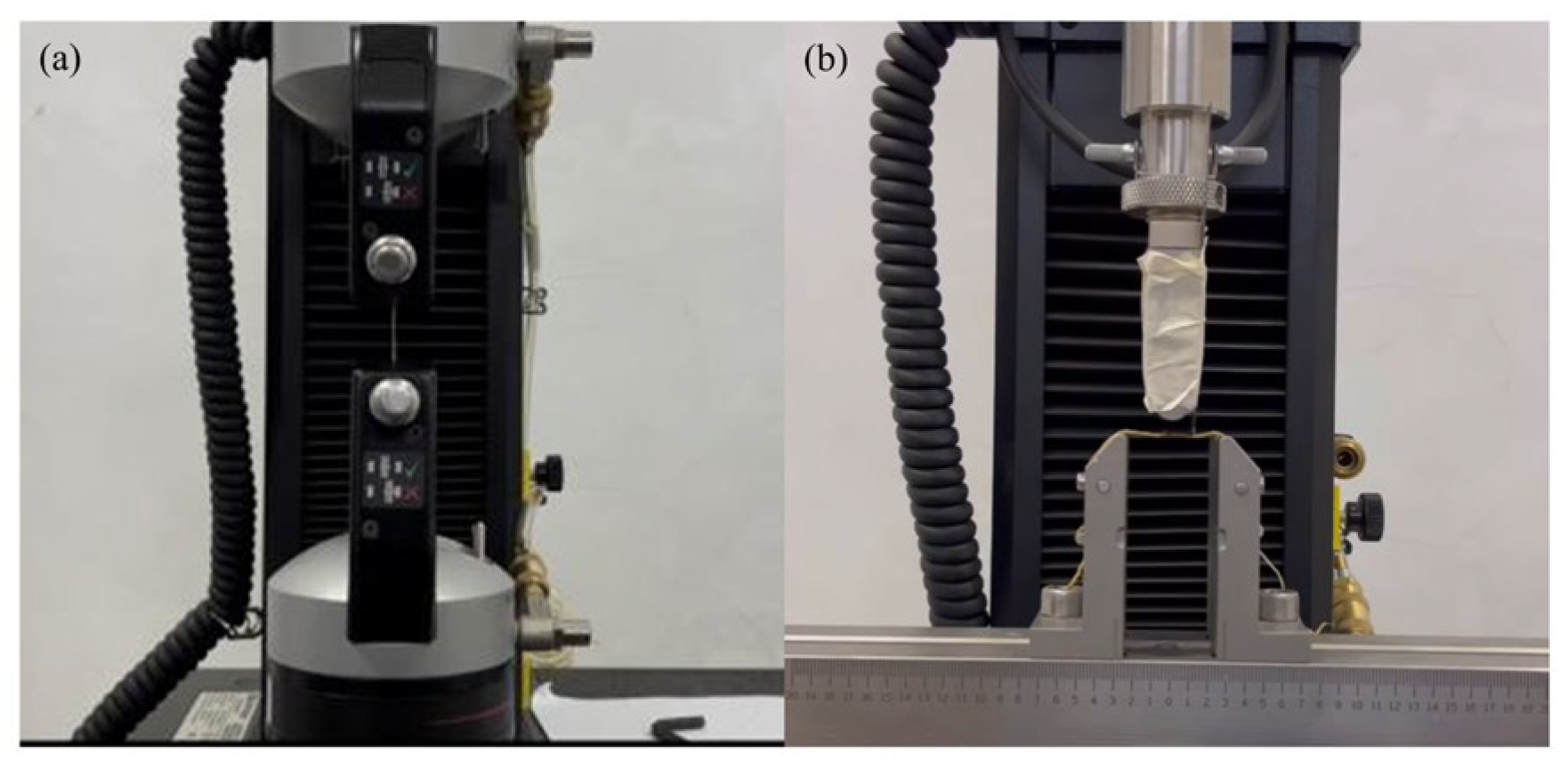 Agriculture 15 02427 g002