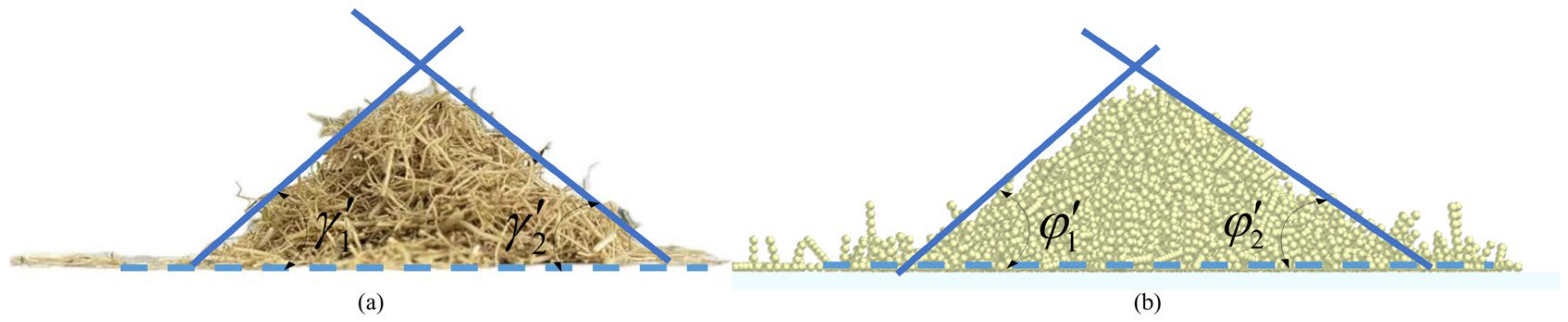 Agriculture 15 02427 g007