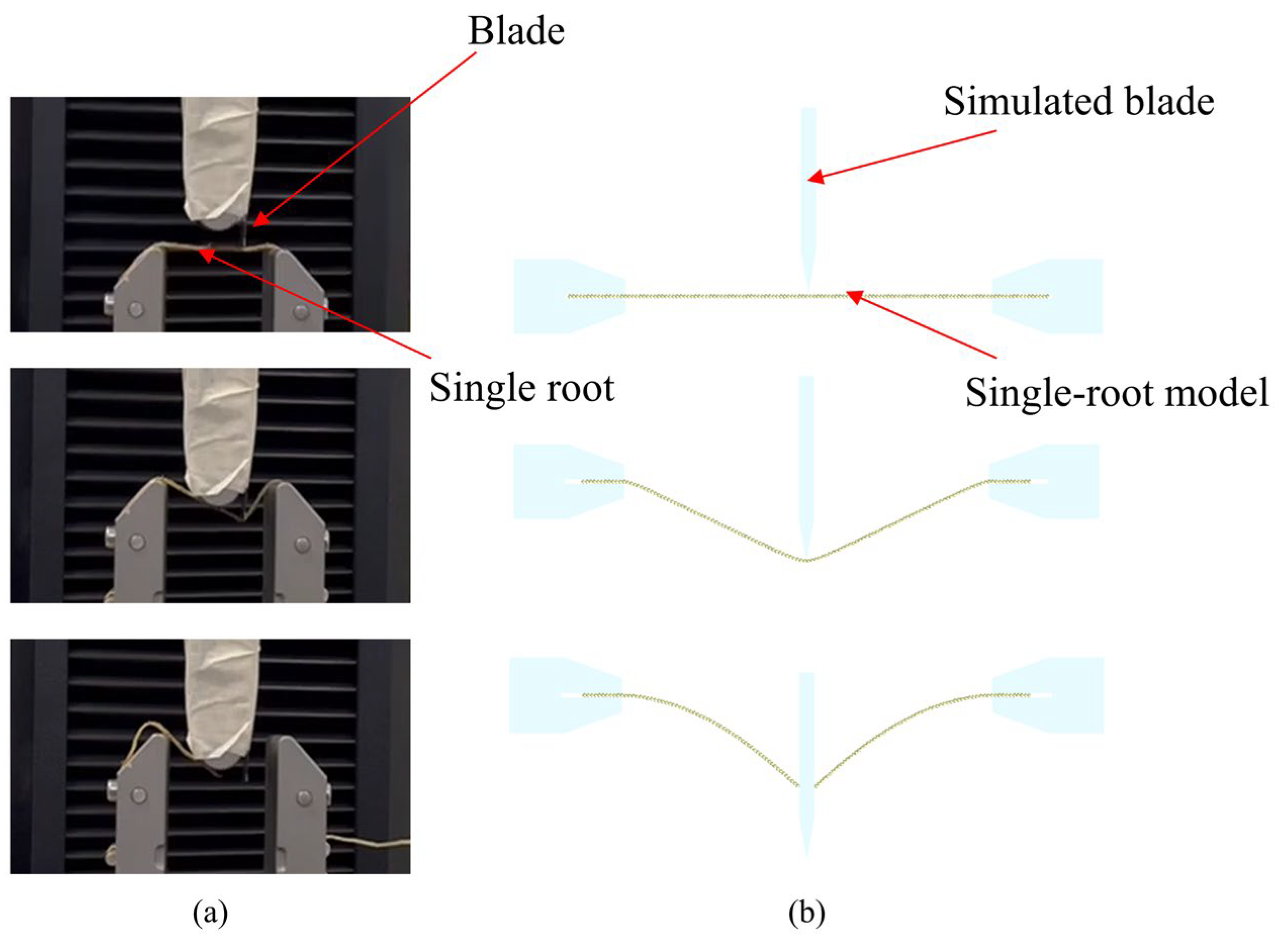 Agriculture 15 02427 g009