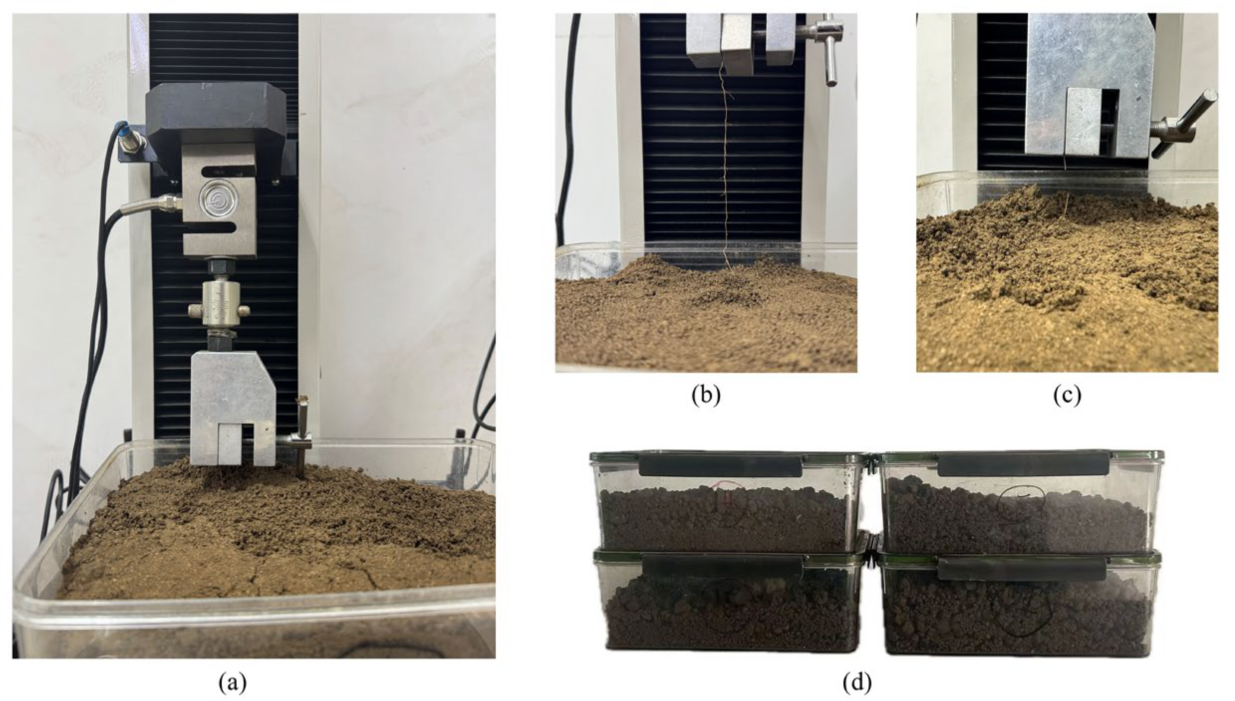 Agriculture 15 02427 g012